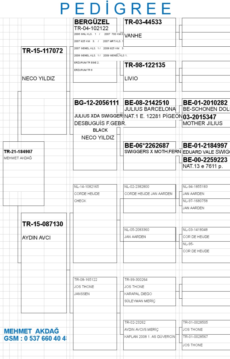 TR21-184907   / MEHMET AKDAG - 173 . FİNAL 477  KM