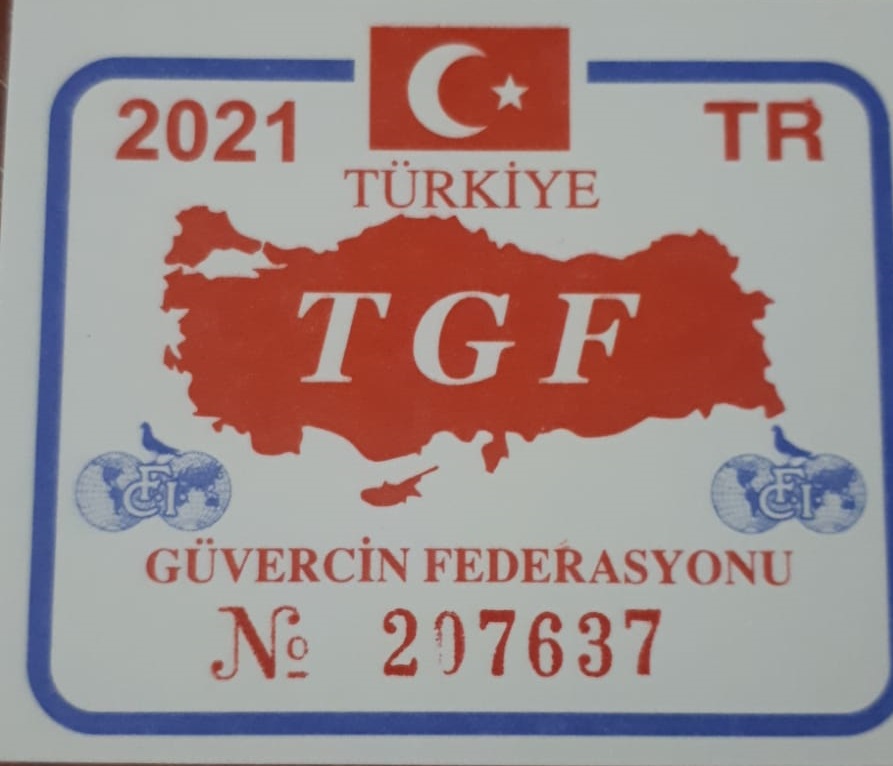 TR21-207637 / SALIH VATANSEVER  -  10. ACE PİGEON 6X6  - 49. FİNAL 477 KM