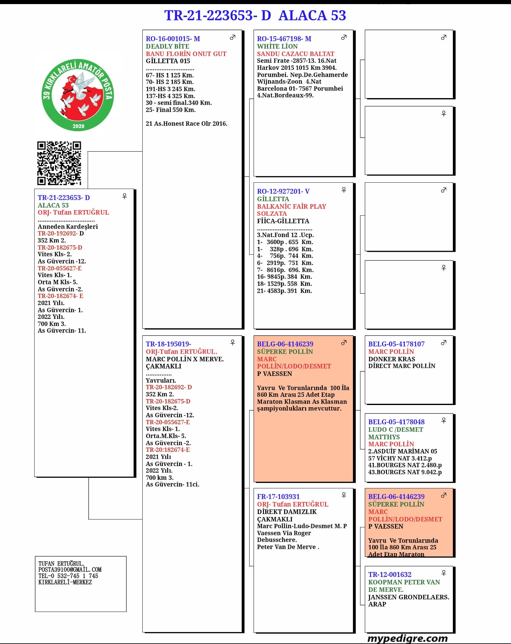 TR21-223653 DİŞİ / BABASI 23 FİNAL & 30 SEMİFİNAL ANNE MARC POLLİN MERWE