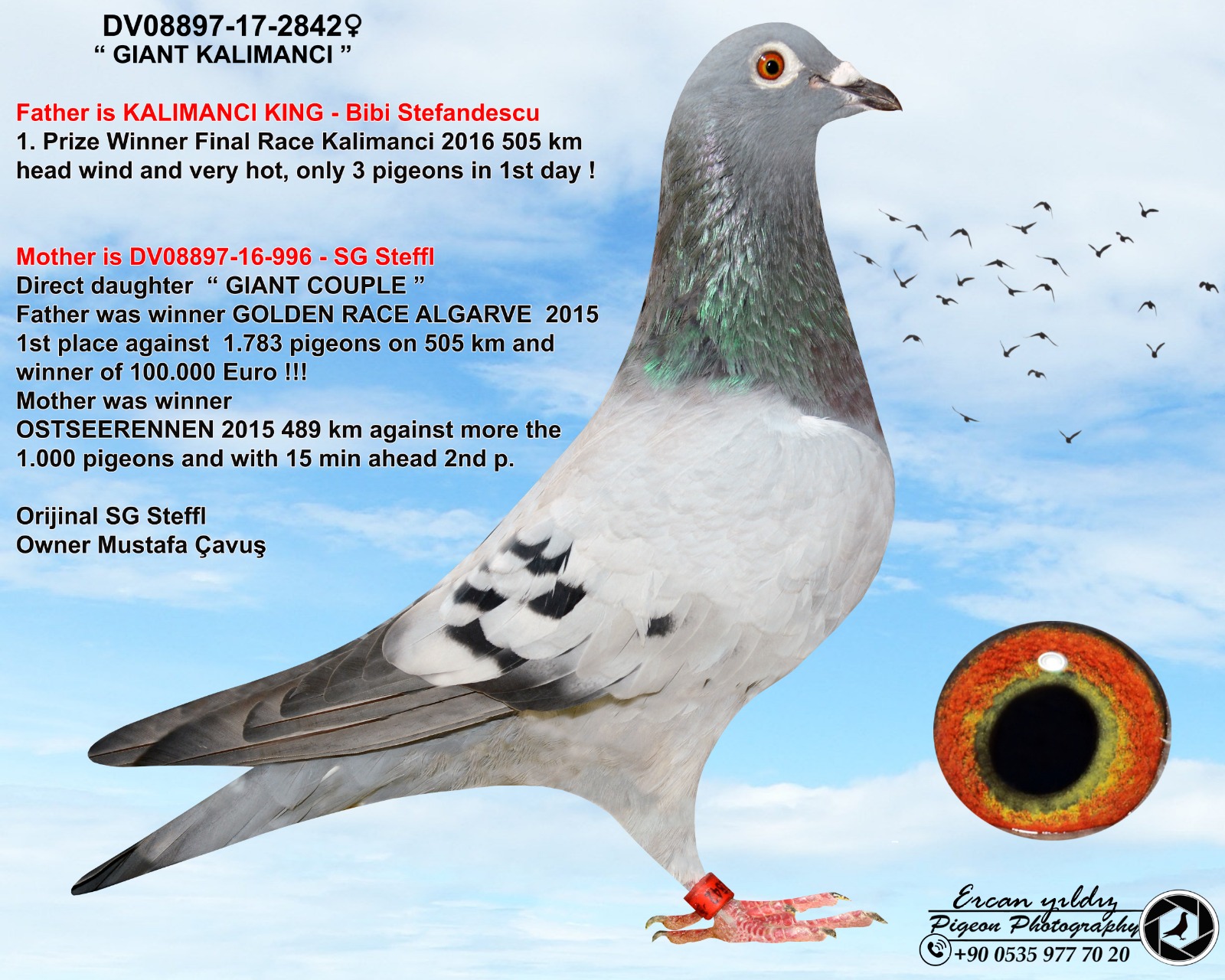 TR21-241065 DİŞİ / BABA DİMİTAR TODOROV ANNESİ SG STEFFL