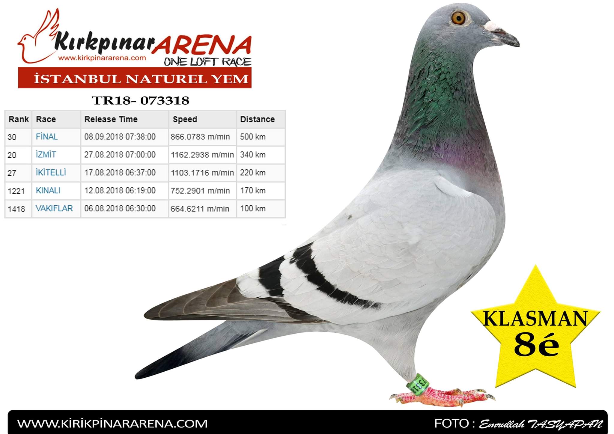 TR21-303113 DİŞİ / KIZ KARDEŞİ 6. FİNAL 450 KM BABASI KRAL 