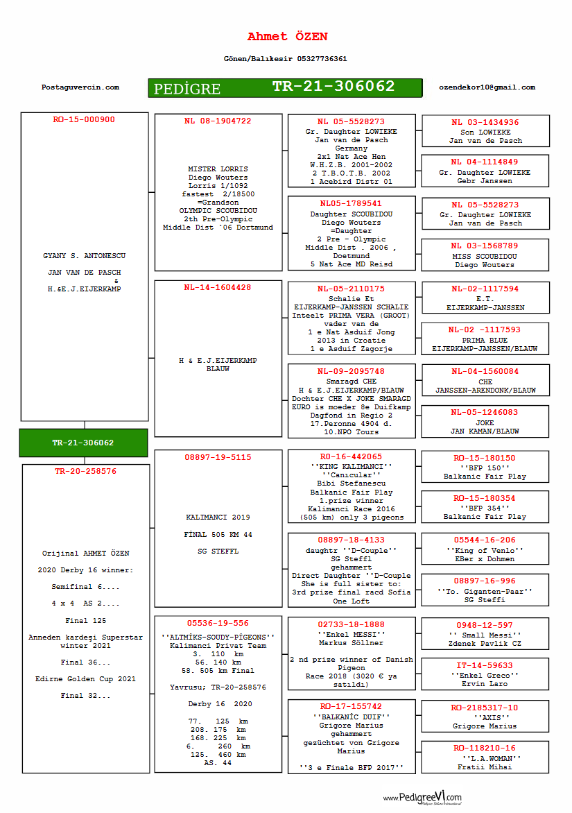 TR21-306062  ERKEK / BABASI J V. PASCH - EIJERKAMP -ANNESİ  SG STEFFLY - ALTMİKS 