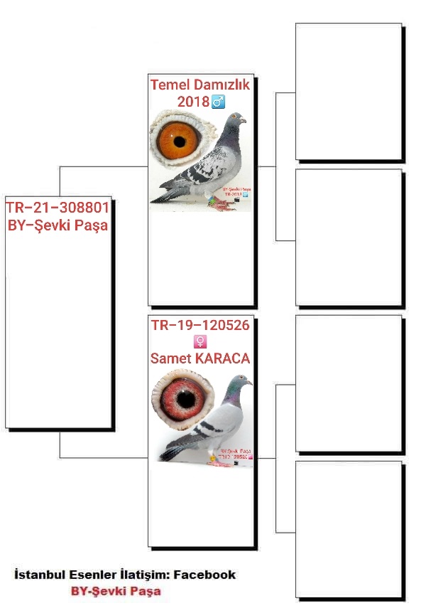 TR21-308801 / ILKER ACET & BY SEVKIPASA -  303. FİNAL 477 KM