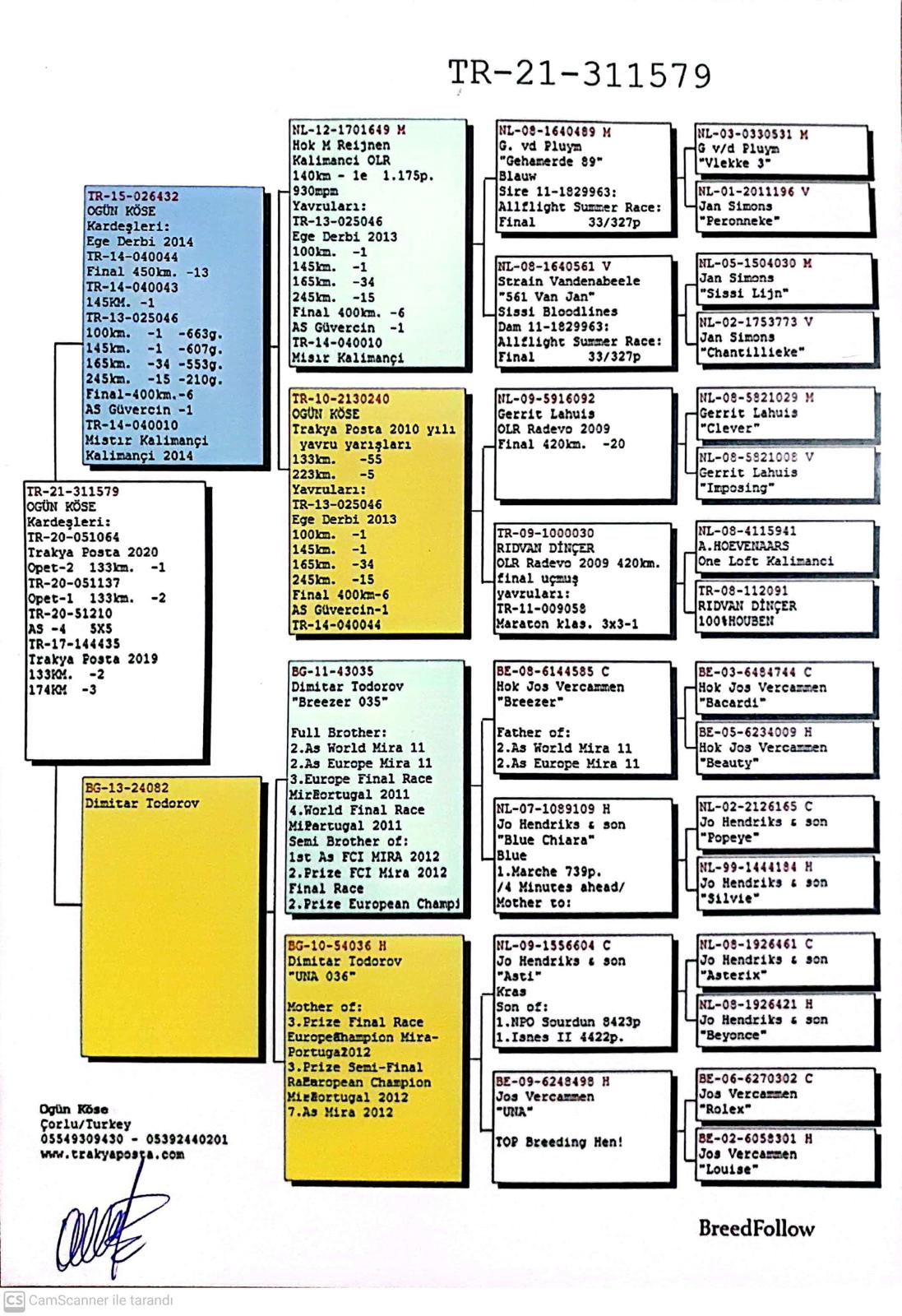 TR21-311579 DİŞİ / OG&Uuml;N K&Ouml;SE