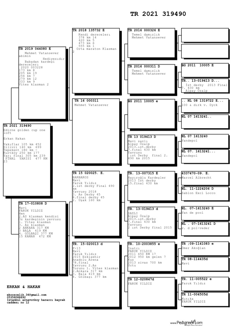 TR21-319490 / ERKAN & HAKAN  -  23. FİNAL  477 KM  