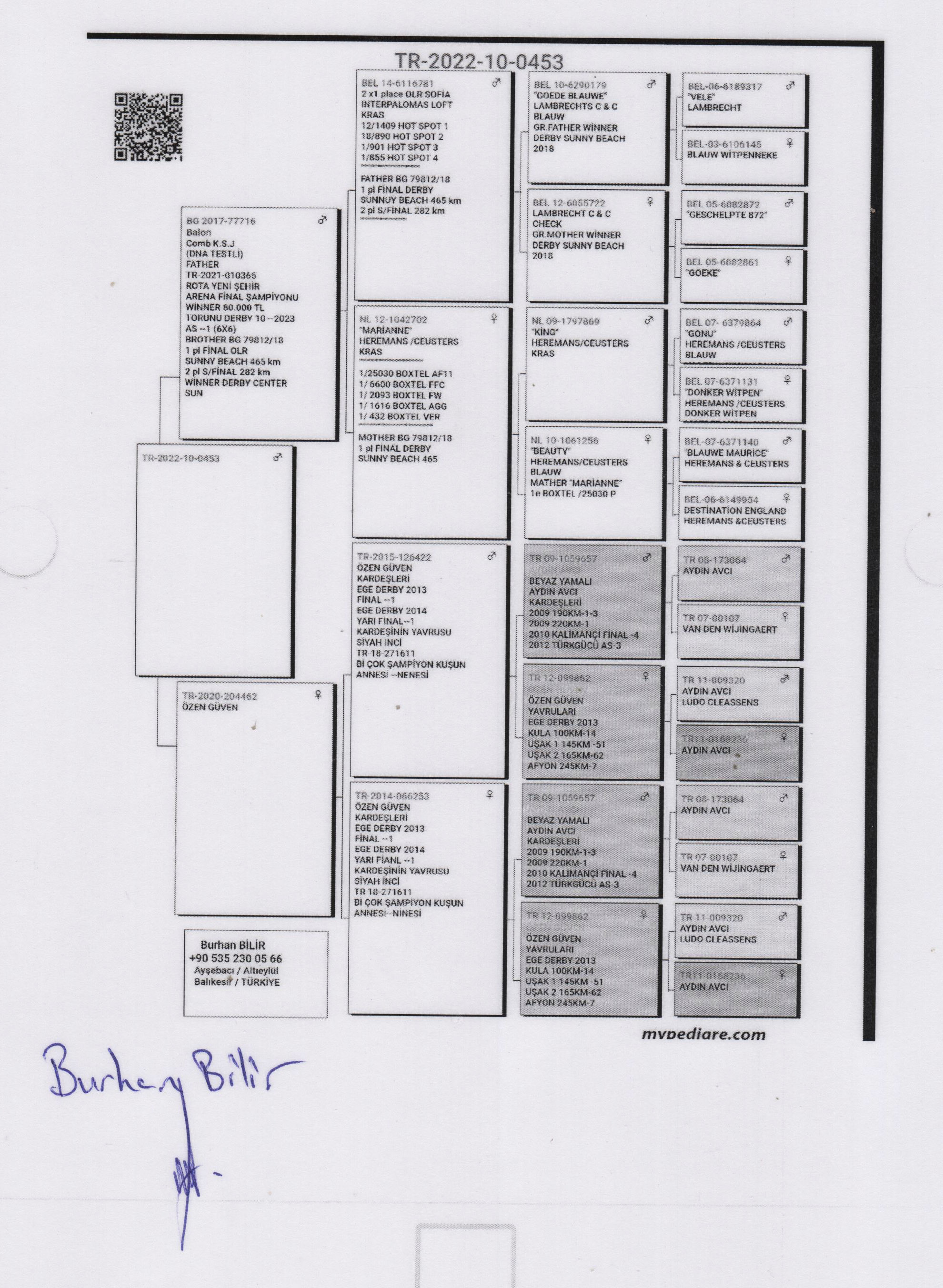 TR22-10-0453 ERKEK / BABADAN KARDEŞİ 1 FİNAL T&Uuml;RKİYE PREMİUM OLR 