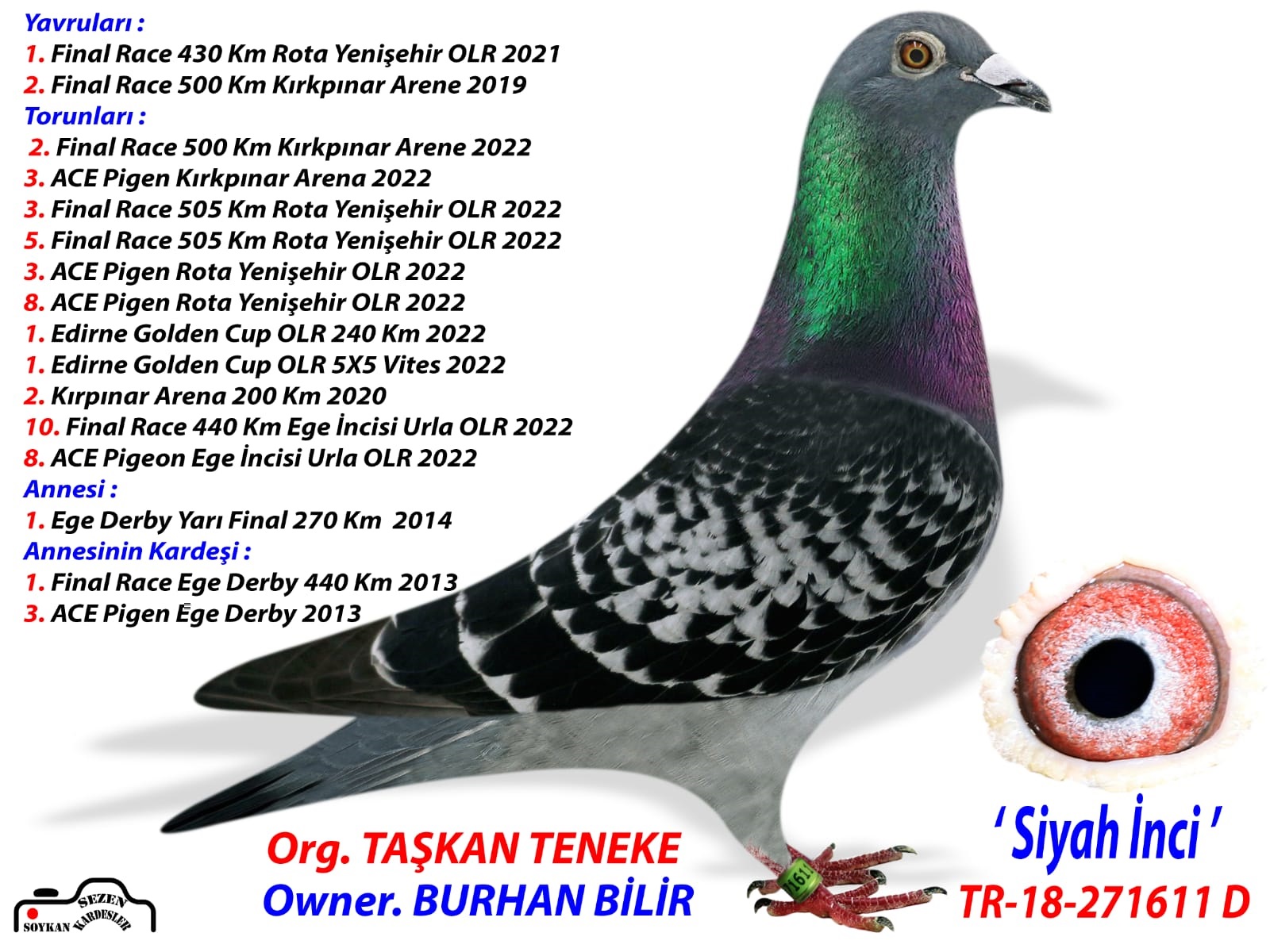 TR22-10-0629   BURHAN BİLİR / 196. FİNAL