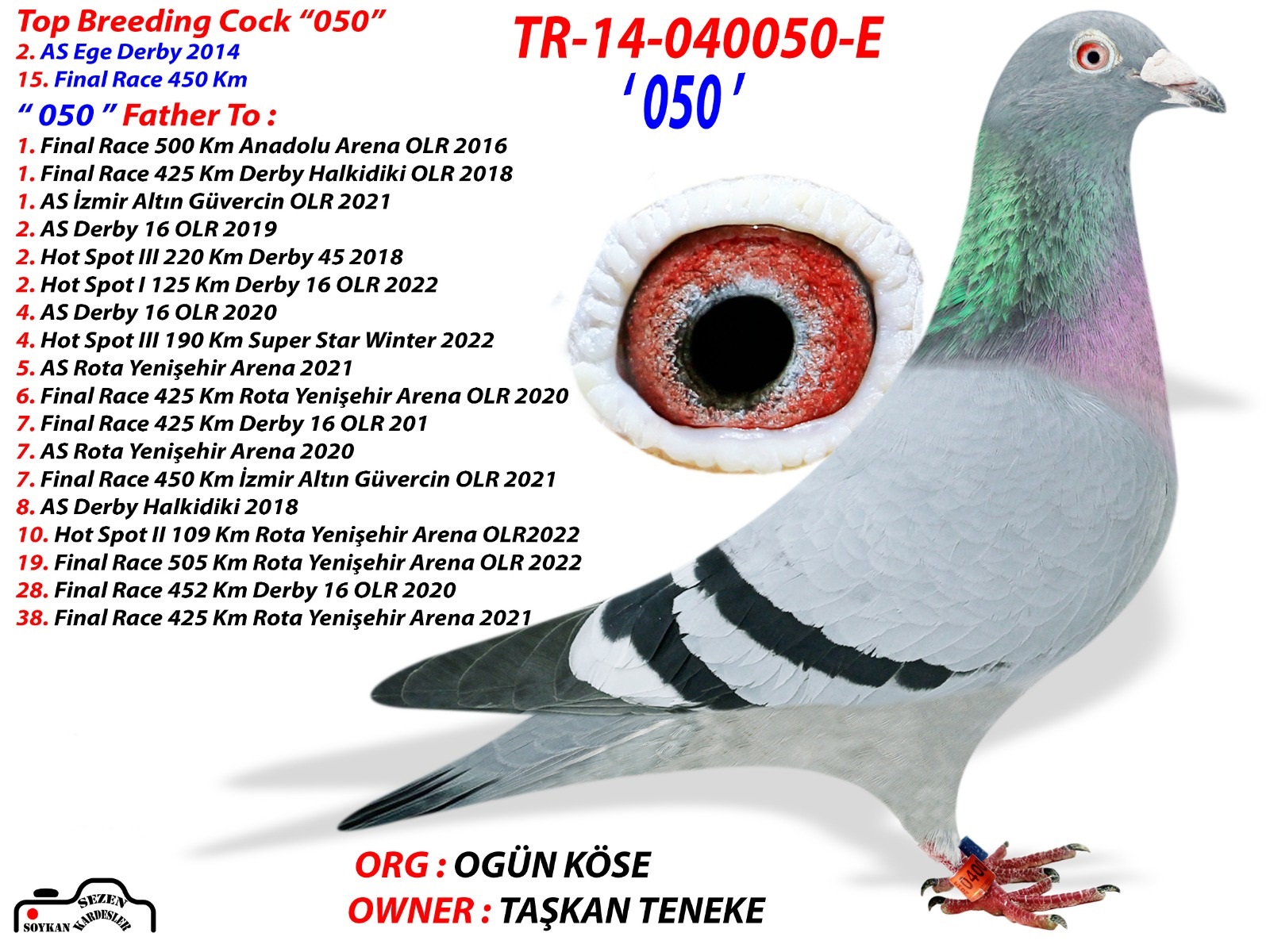 TR22-10-0793  TASKAN TENEKE  17. FİNAL -  7. AS