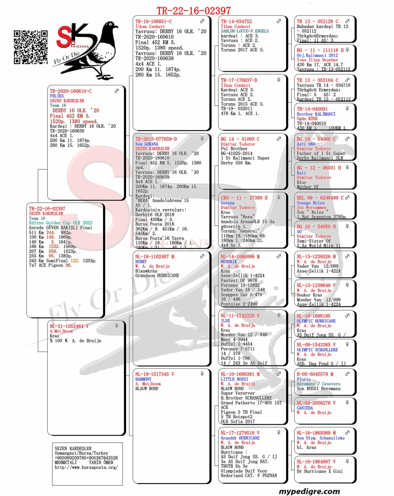 TR22-16-02397 	TEAM 16 / 244. FİNAL