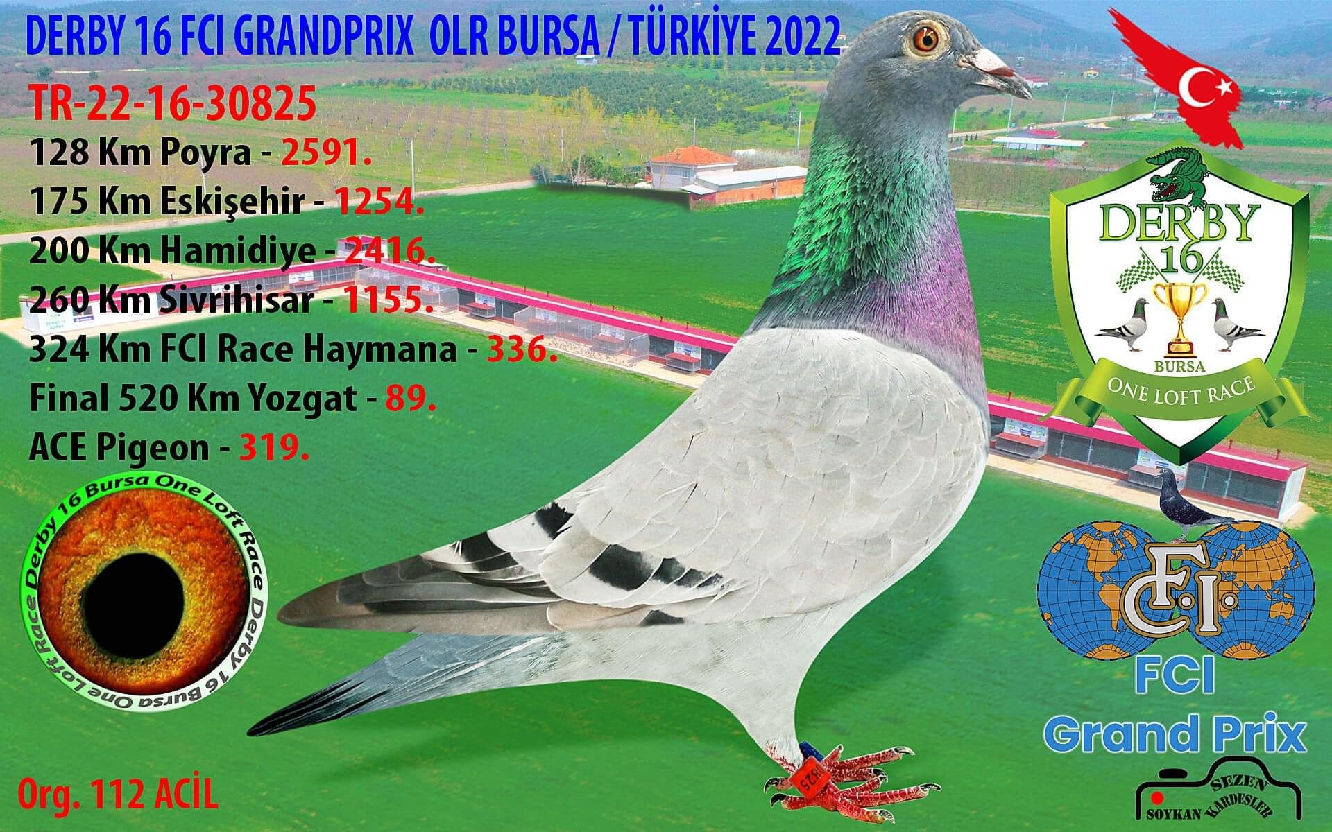 TR22-16-30810 BURAK-AHMET TEAM--İBRAHİM OK / 238. FİNAL