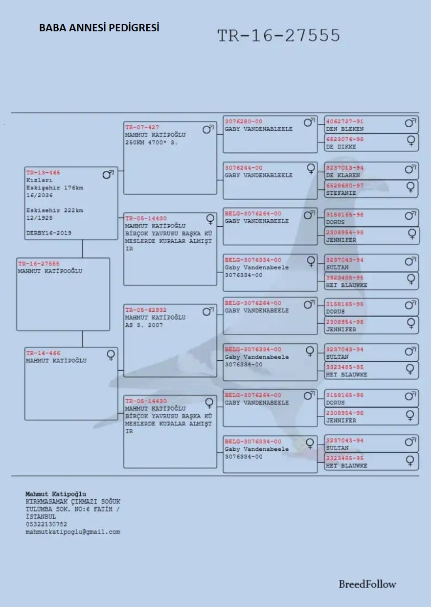 TR22-22-04108   BİROL_ÇAĞRI   14. FİNAL - 66. AS 