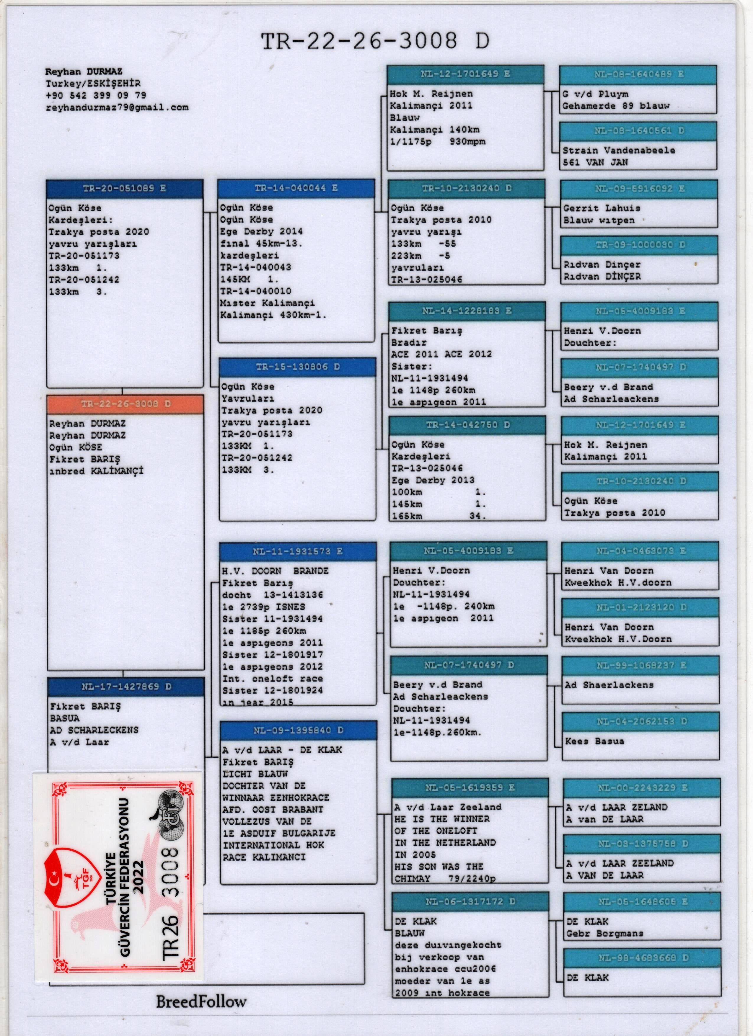 TR22-26-3008 DİŞİ / OG&Uuml;N K&Ouml;SE X FİKRET BARIS