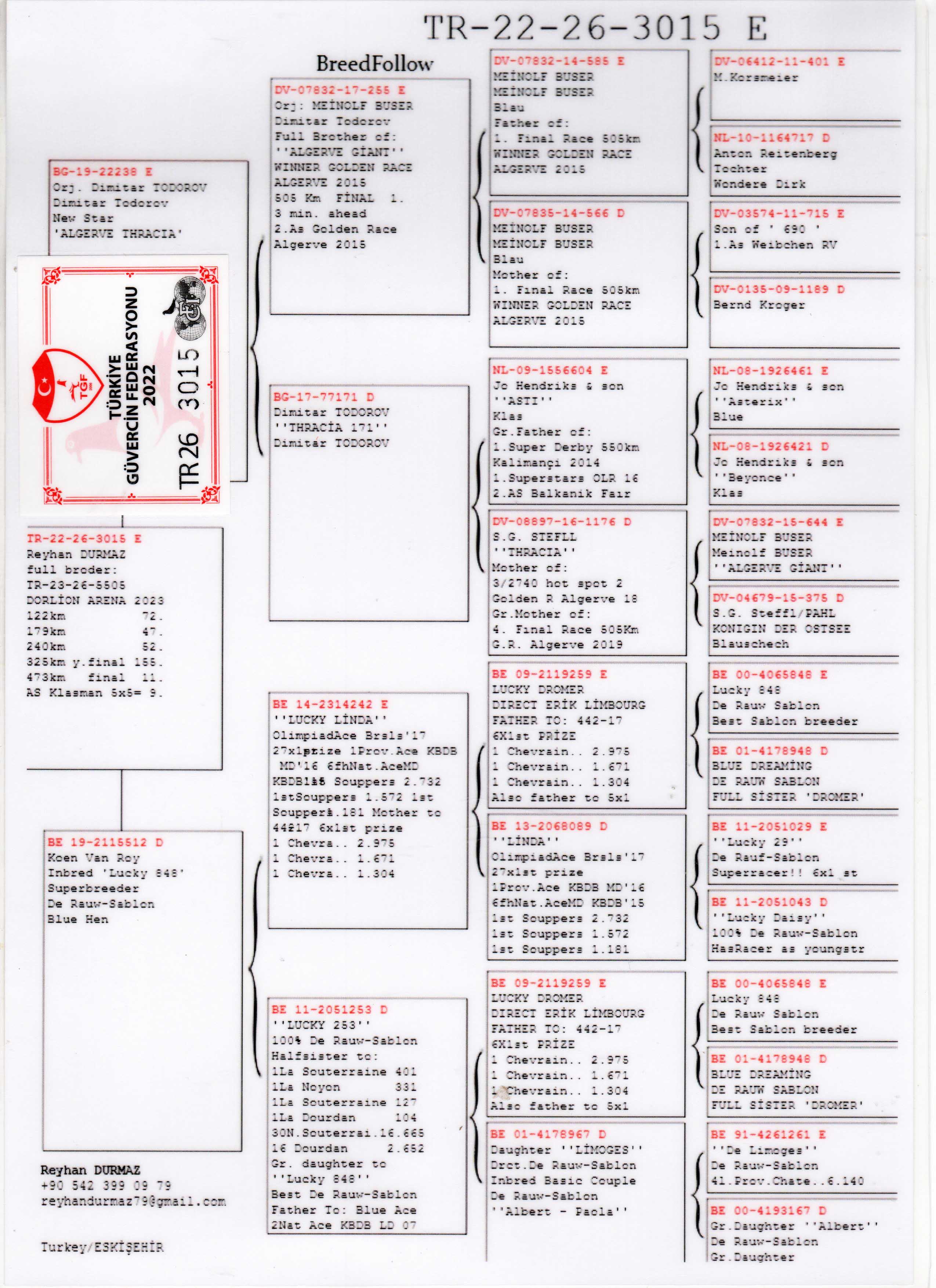 TR22-26-3015 ERKEK / TAM KARDEŞİ 11 FİNAL DORLİON & 9 AS KLASMAN 