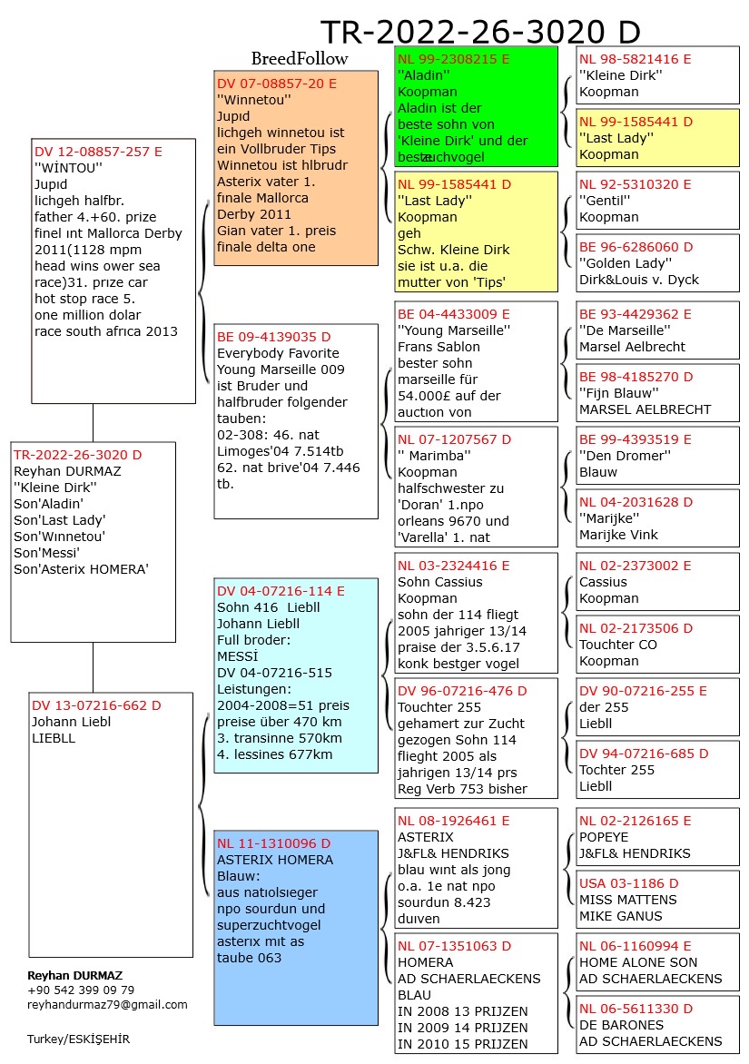 TR22-26-3020 DİŞİ / BABASI JUPID ANNESİ MESSİ KARDEŞİ YAVRUSU