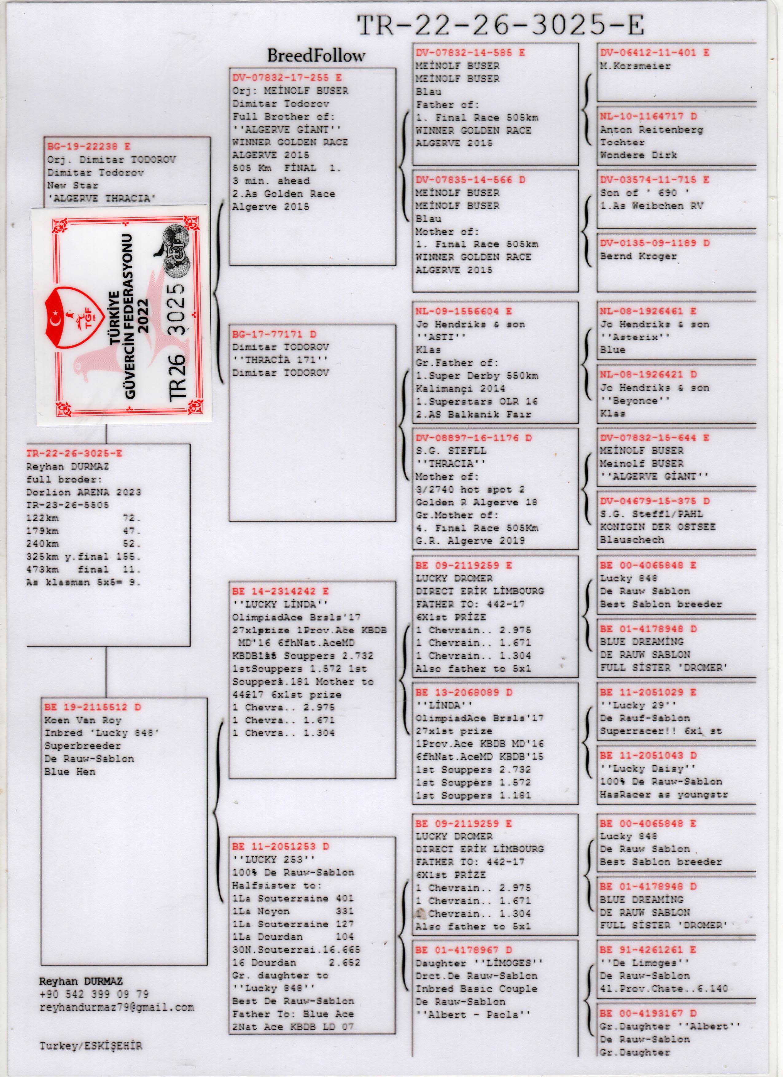 TR22-26-3025 ERKEK / FULL BROTHER 11 FİNAL  473 KM DORLİON