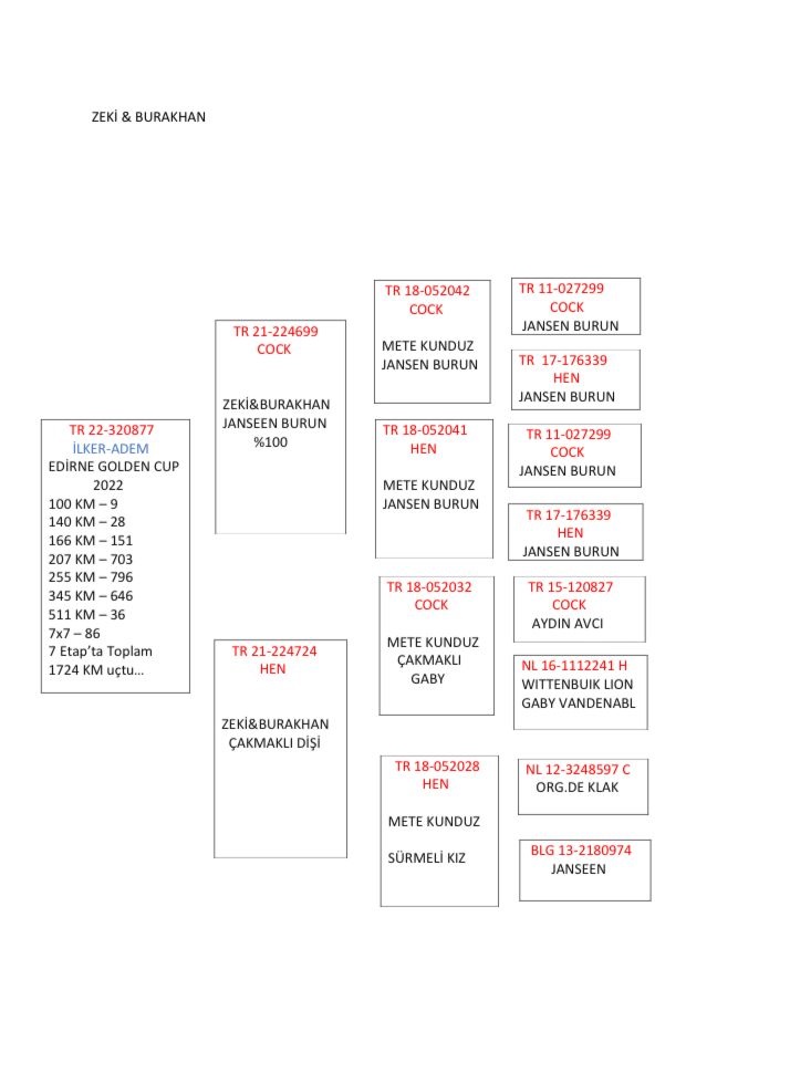 TR22-32-0877  İLKER_ADEM /  36. FİNAL 