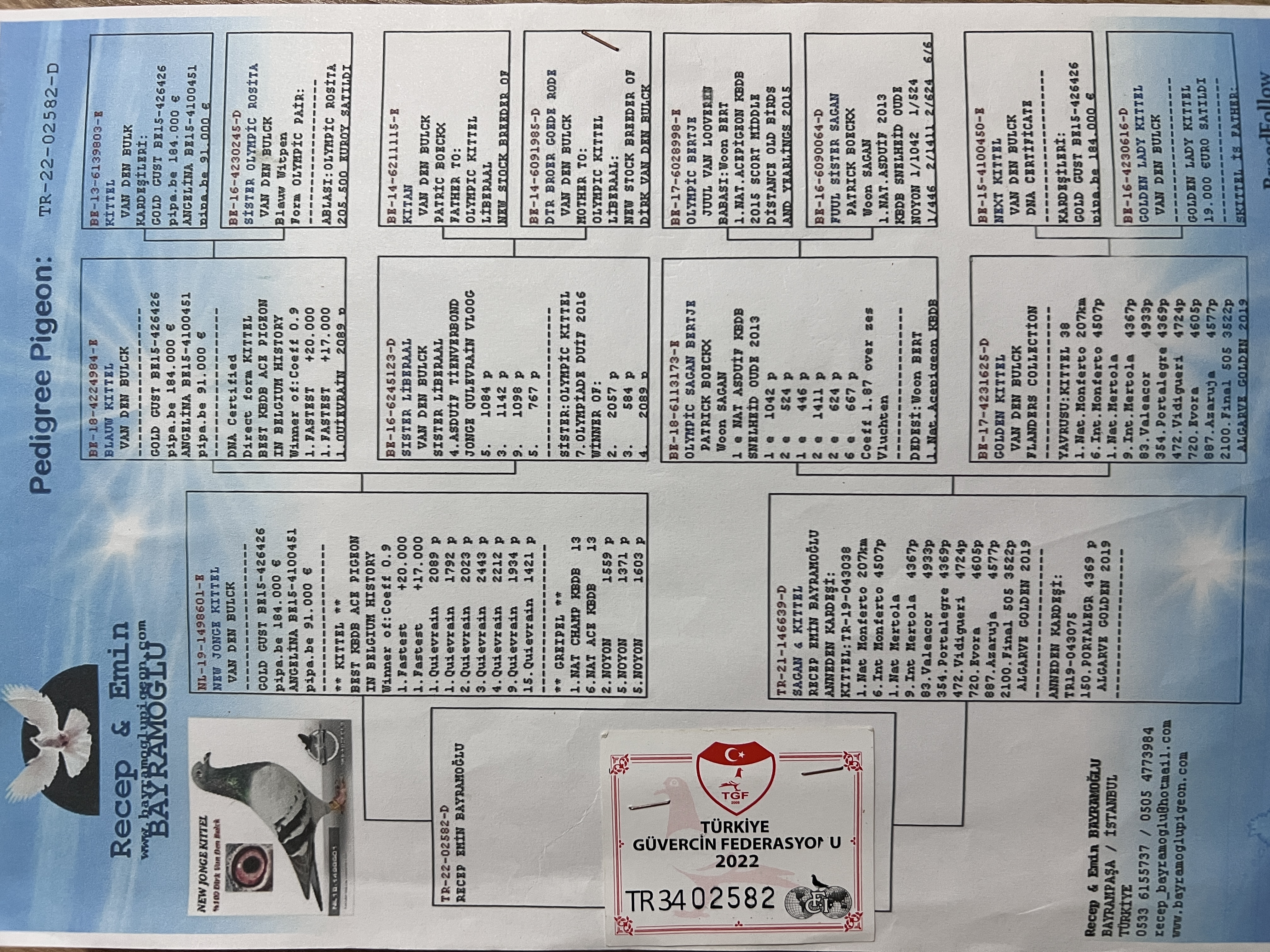 TR22-34-02882 DİŞİ / DİRK VAN DE BLUCK LINE