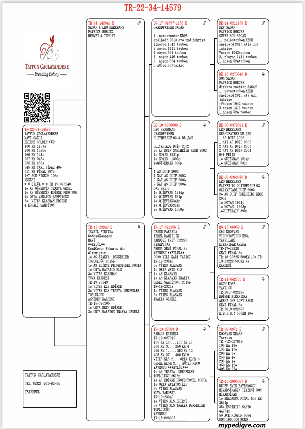 TR22-34-14579 TAYFUN CAĞLAYAN DERE / 378. FİNAL