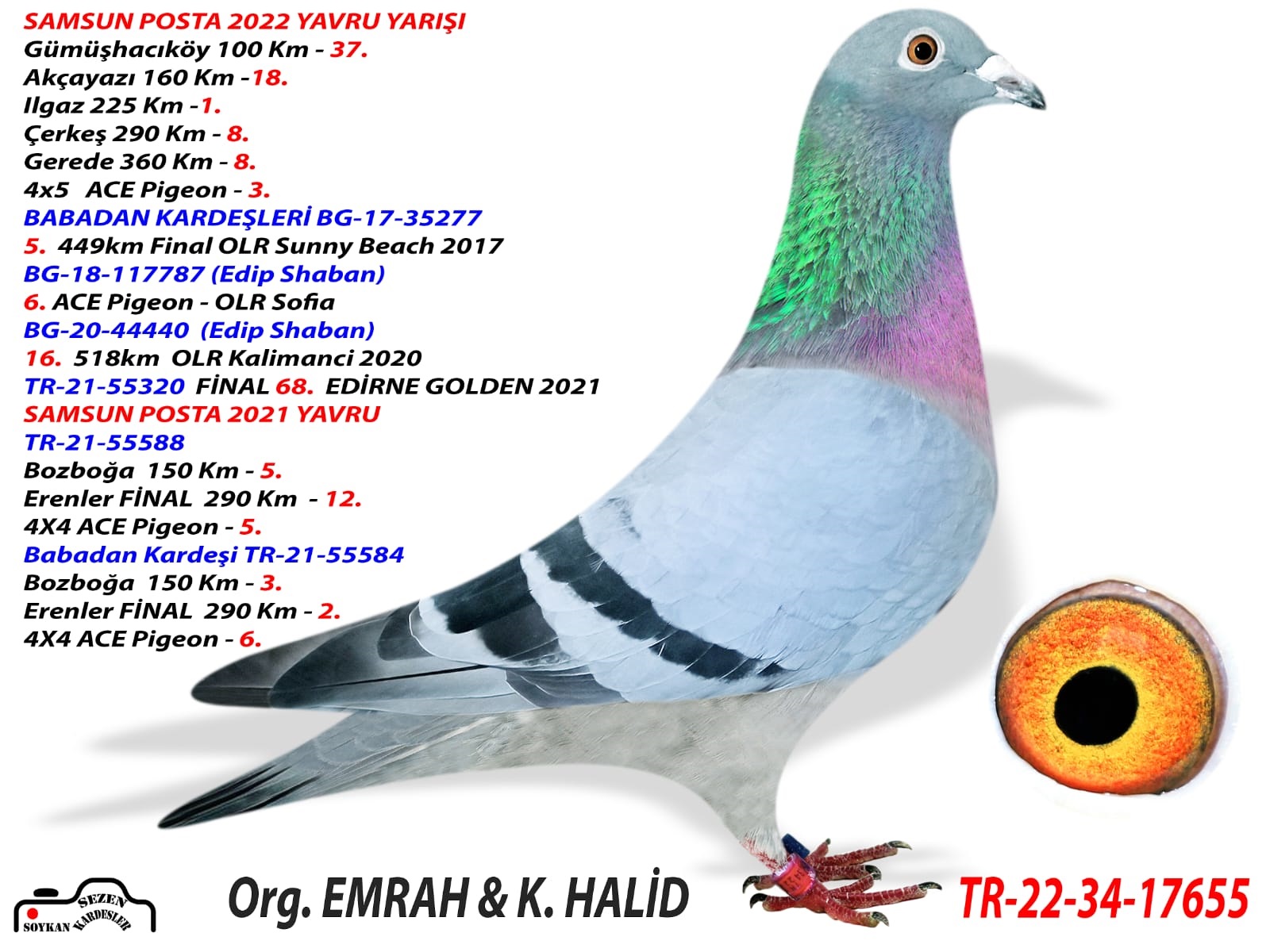 TR22-34-17605  /	TEAM SAMSUN  -  251. FİMAL 