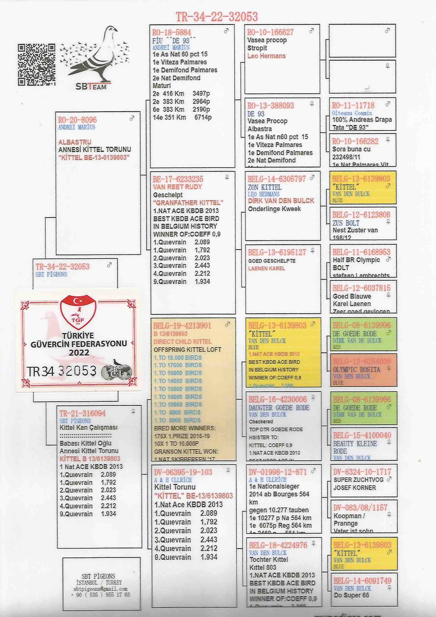 TR22-34-32053 ERKEK / ANNESİ KİTTEL TORUNU