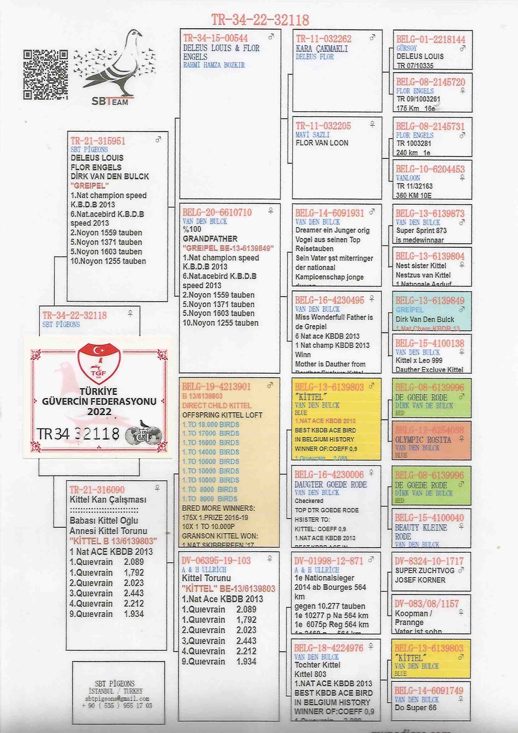 TR22-34-32118 DİŞİ / ANNESİ KİTTEL TORUNU