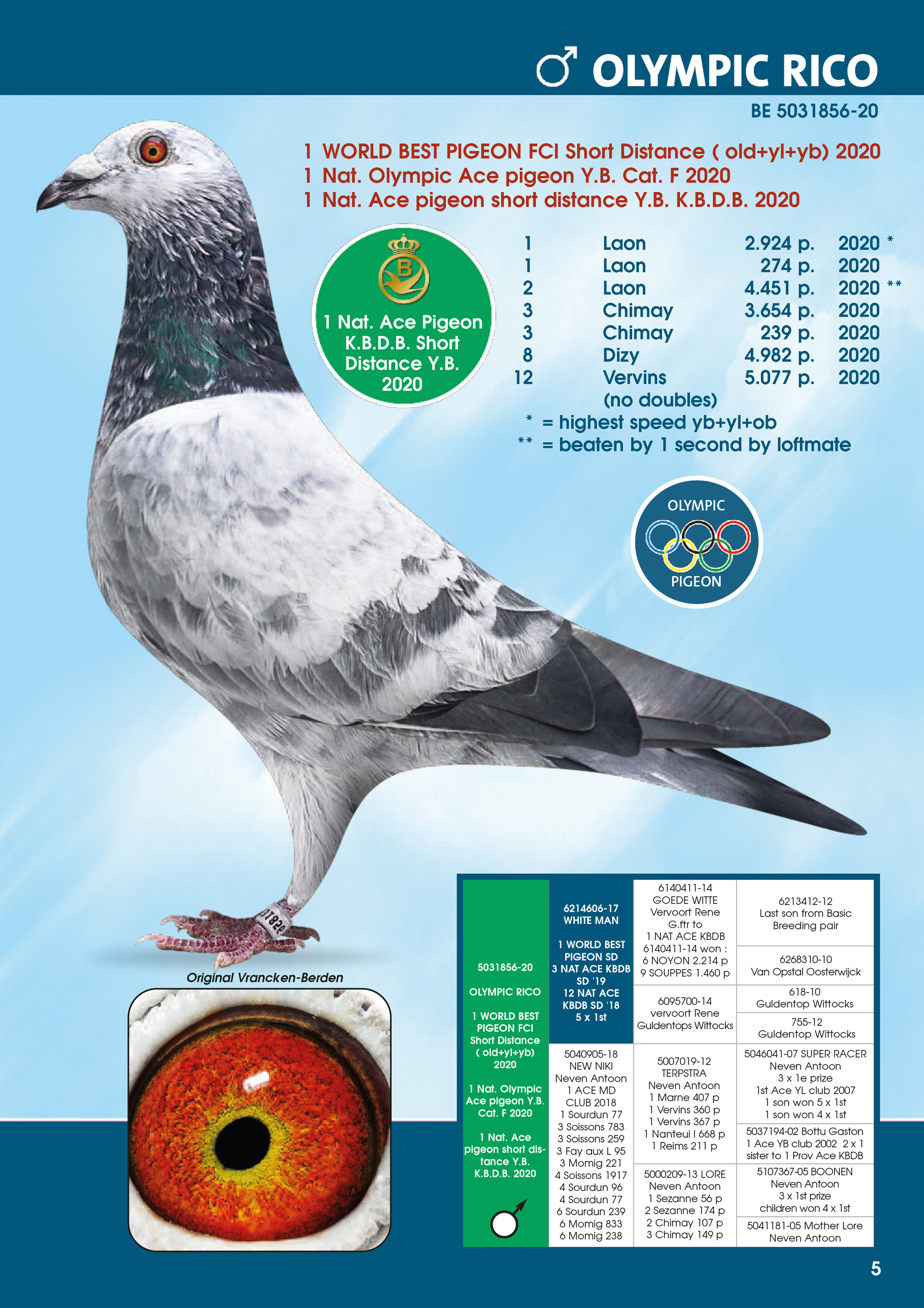 TR22-34-38991 DİŞİ / DE KITTEL TORUNU BABASI 901 19,670 EURO SATILDI ANNESI OLYMPIC RICO TORUNU