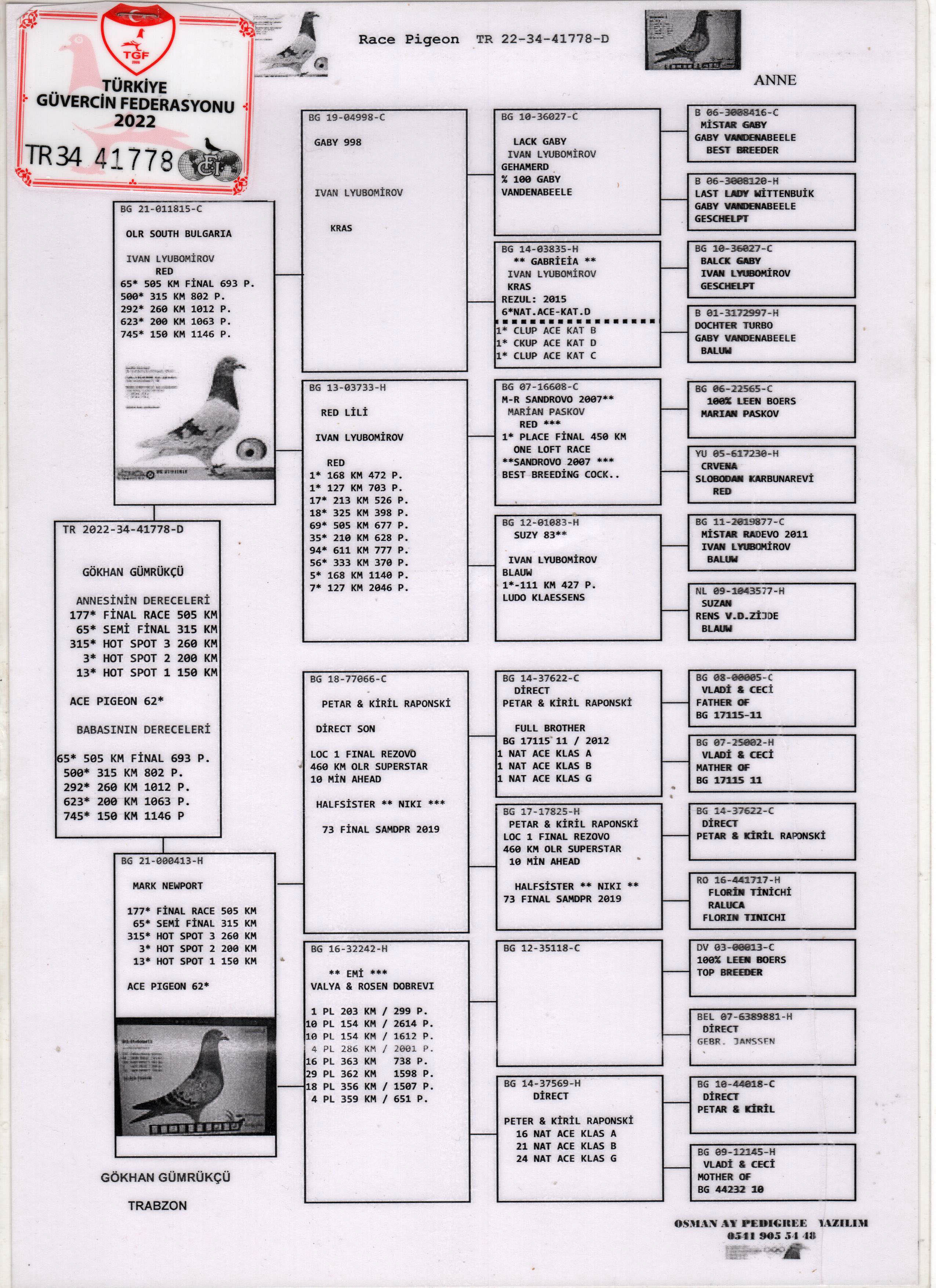 TR22-34-41778 DİŞİ / ANNESİ 62 AS G&Uuml;VERCİN BABASI 65 FİNAL OLR SOUTH BULGARİA