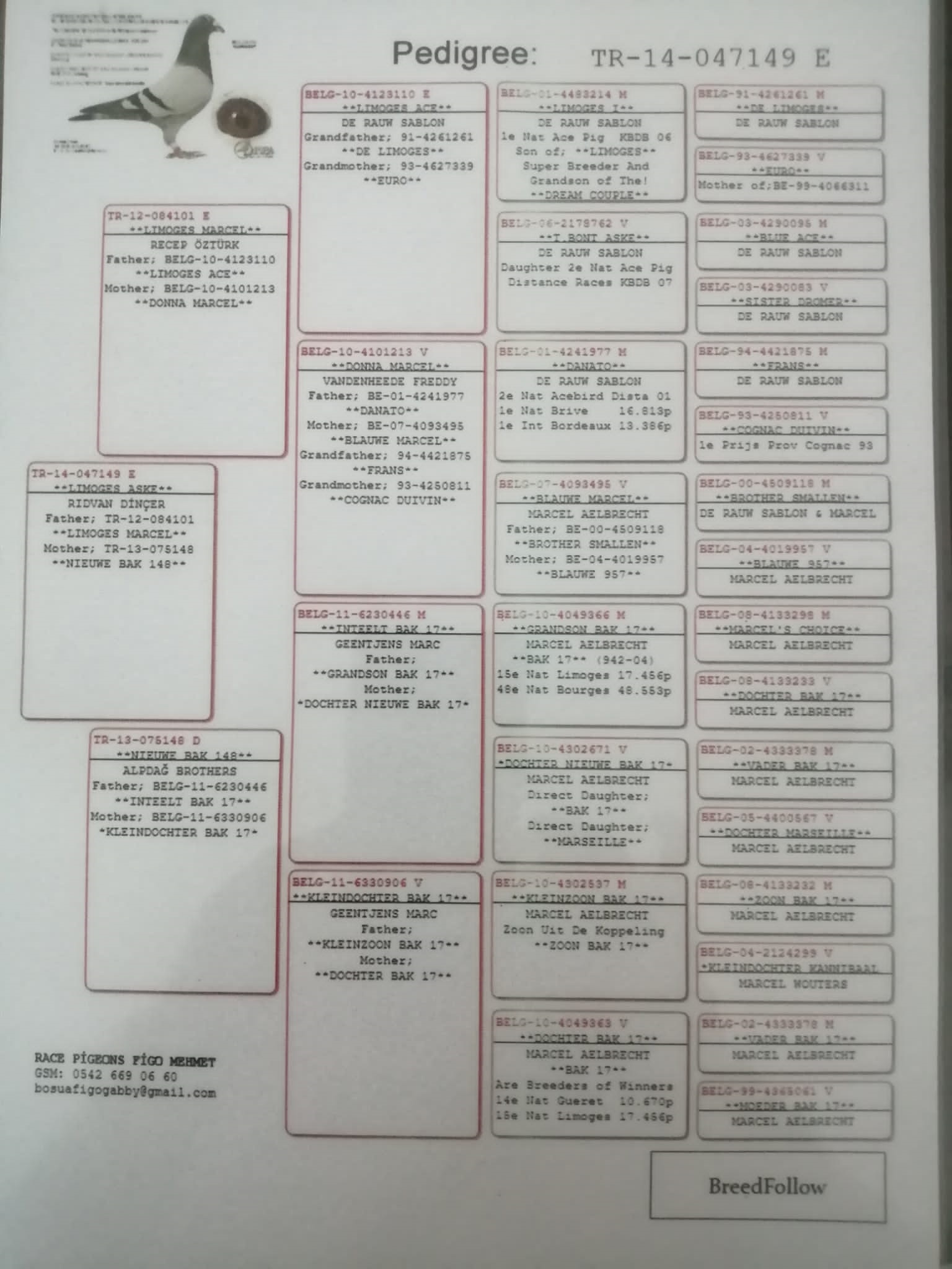 TR22-34-44211 KAMURAN KUŞ  / 78. FİNAL 