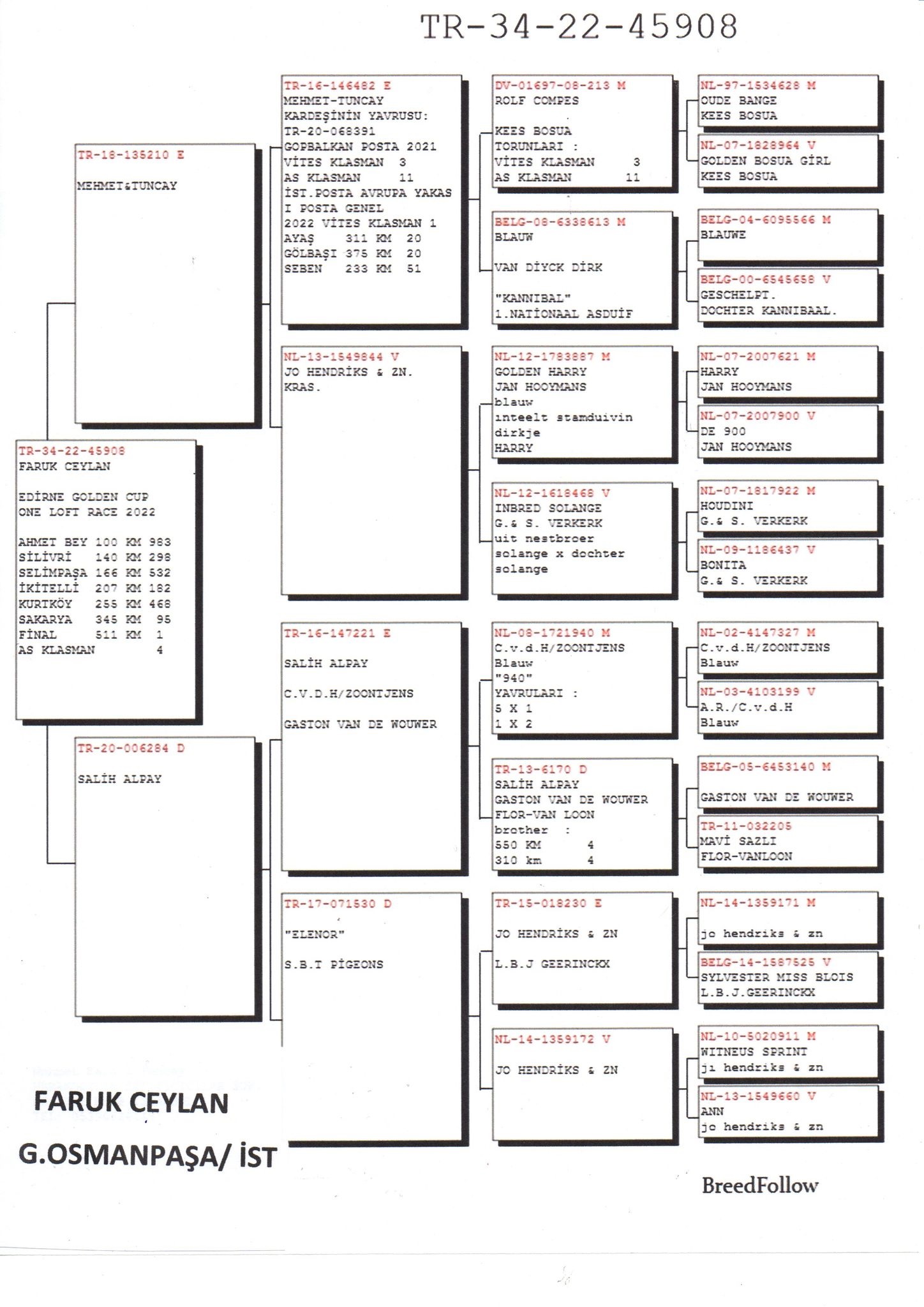 TR22-34-45908 FARUK CEYLAN 1. FİNAL  -  4. AS 