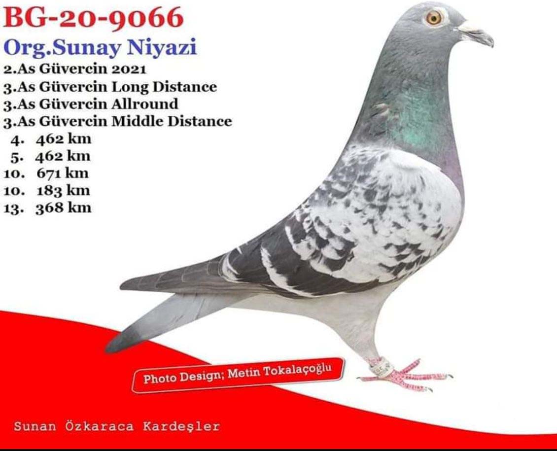 TR22-34-6172 ERKEK / BABASI ANDREAS DRAPA / ANNESİ SUNAY NİYAZİ YARIŞMIŞ