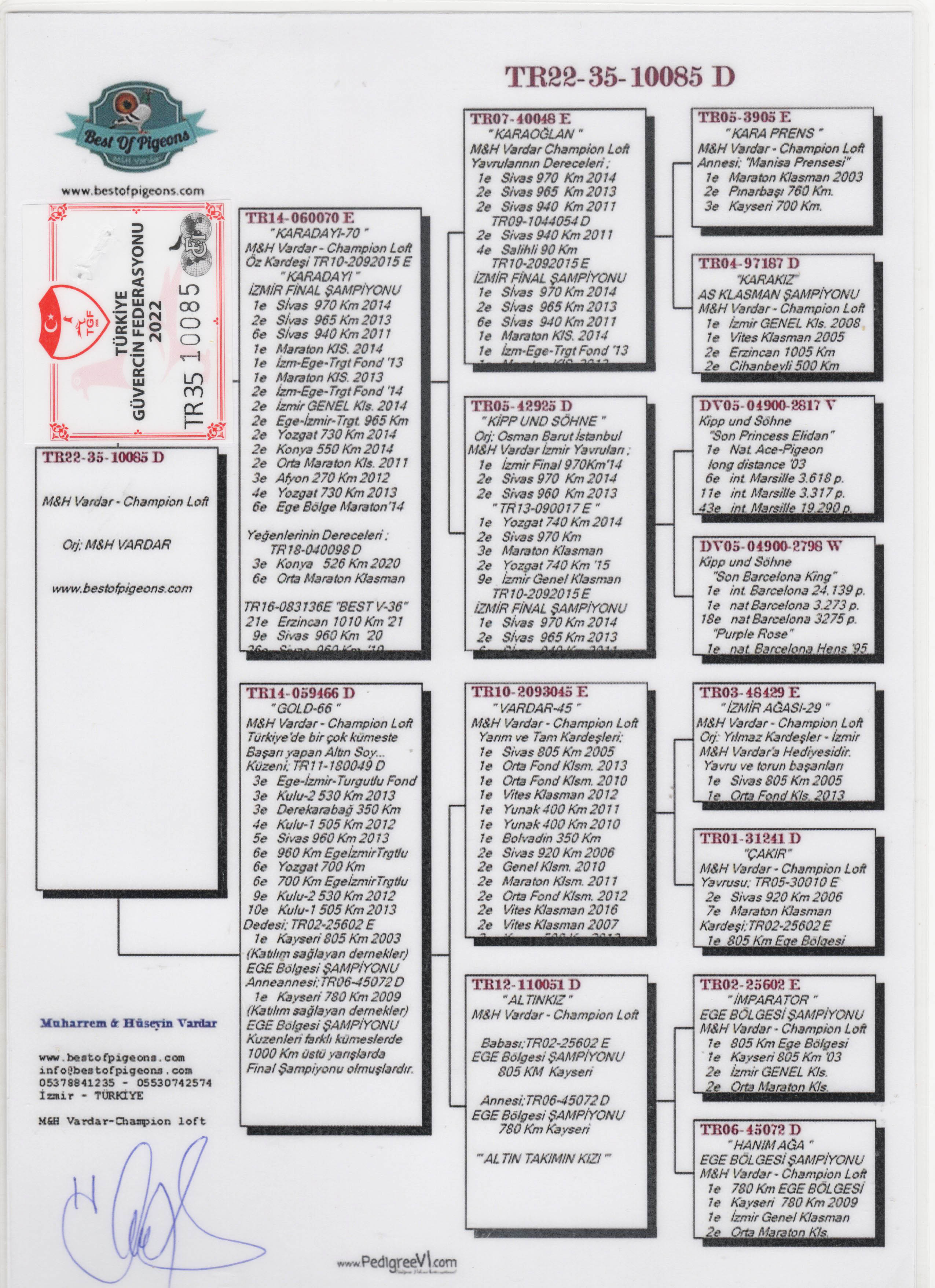 TR22-35-10085 DİŞİ / M & H VARDAR