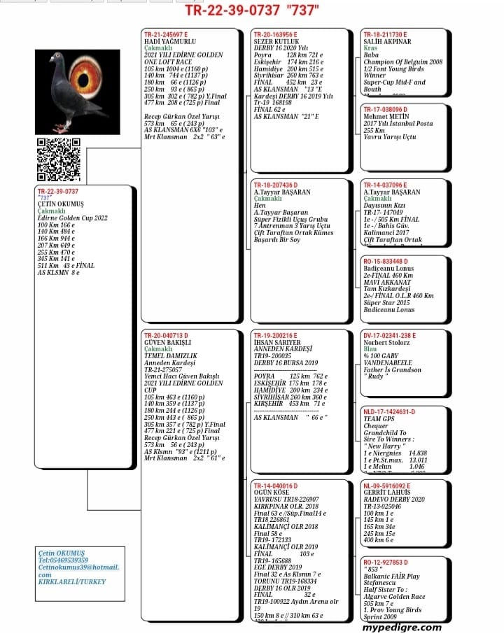 TR22-39-0737   ÇETİN OKUMUŞ   8. AS   -  43. FİNAL 