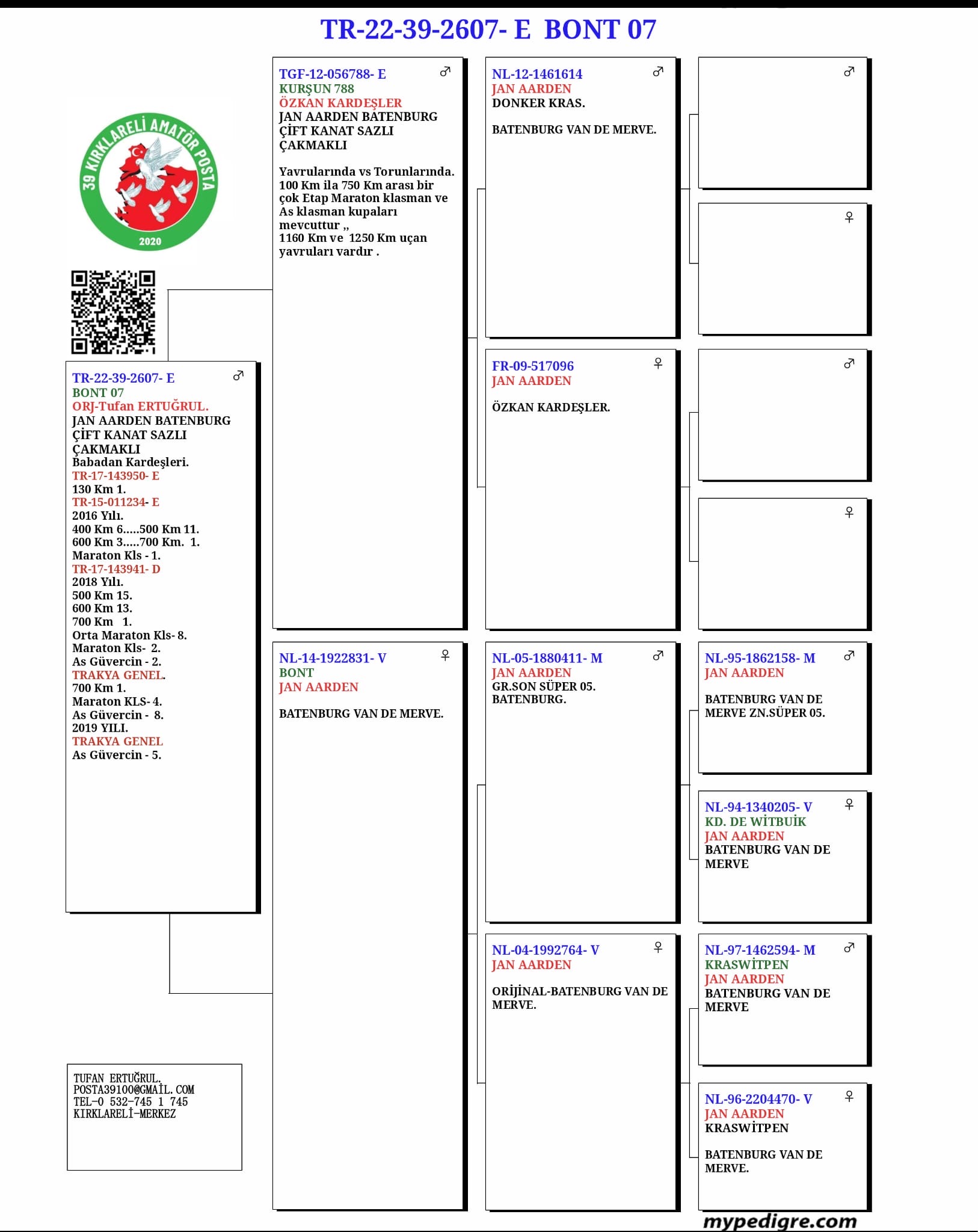 TR22-39-2607 ERKEK / BABADAN KARDEŞLERİ  BİR &Ccedil;OK ŞAMPİYON KUŞ