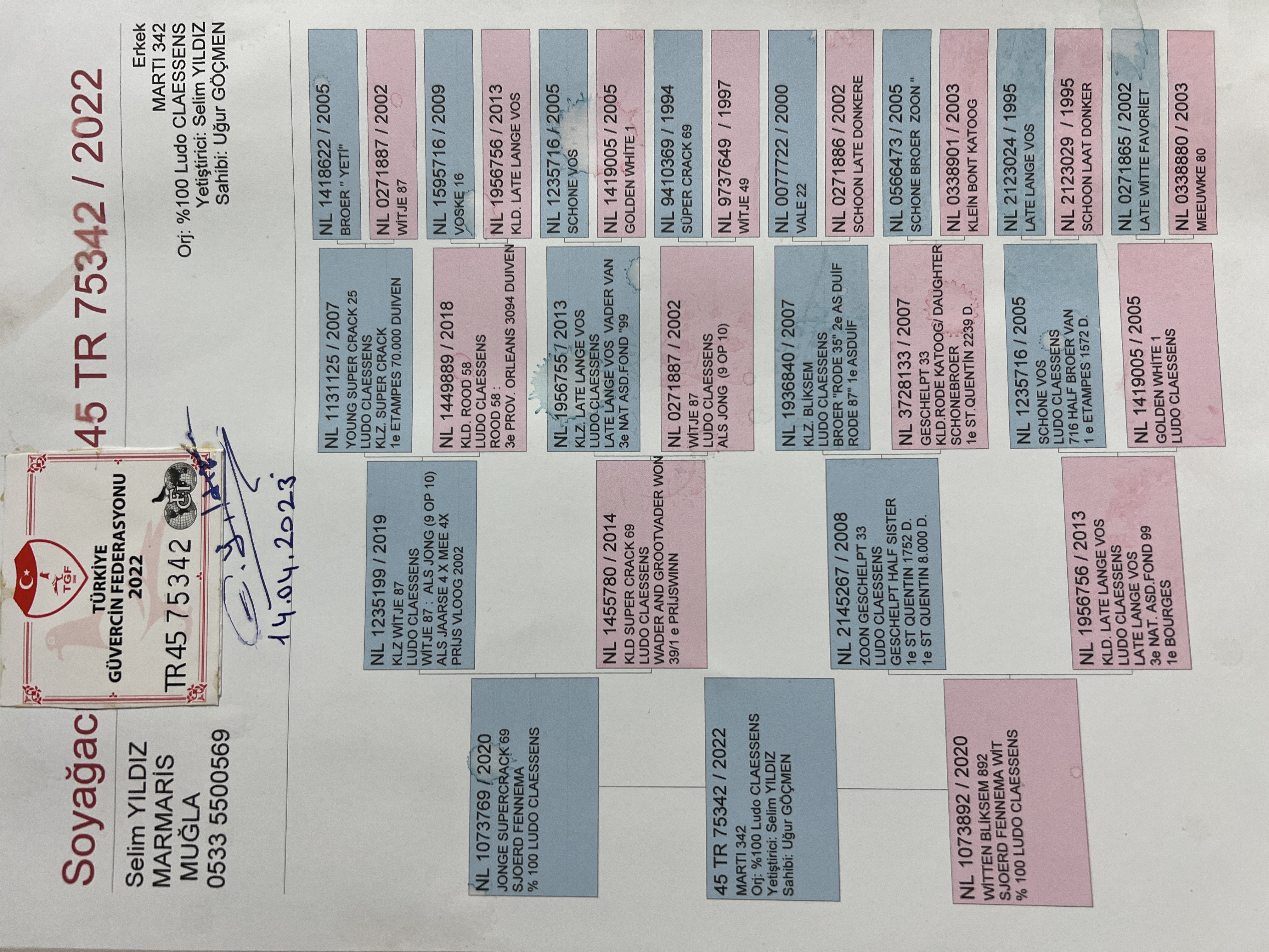 TR22-45-75342 ERKEK / LUDO CLAESSENS % 100