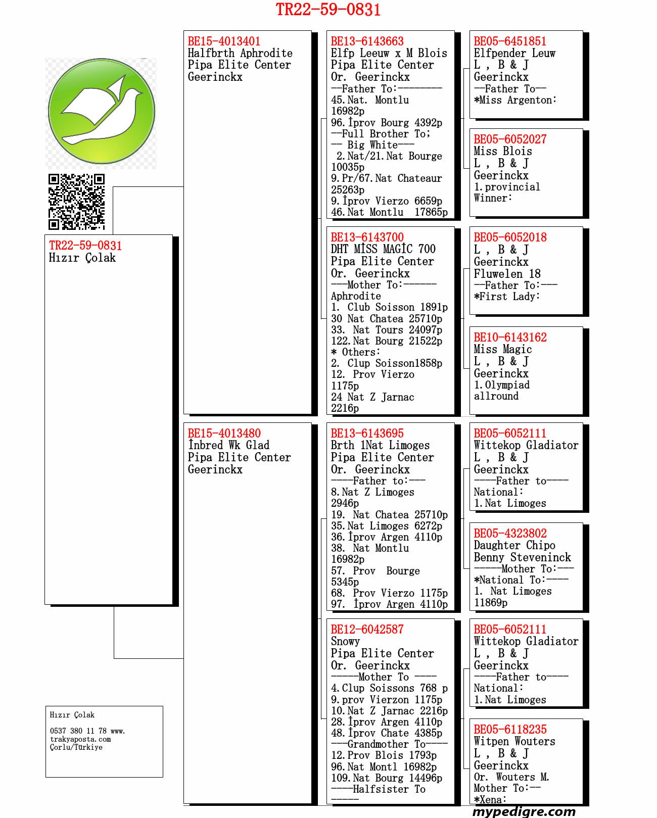 TR22-59-0831 ERKEK / PİPA ELİTE CENTER 
