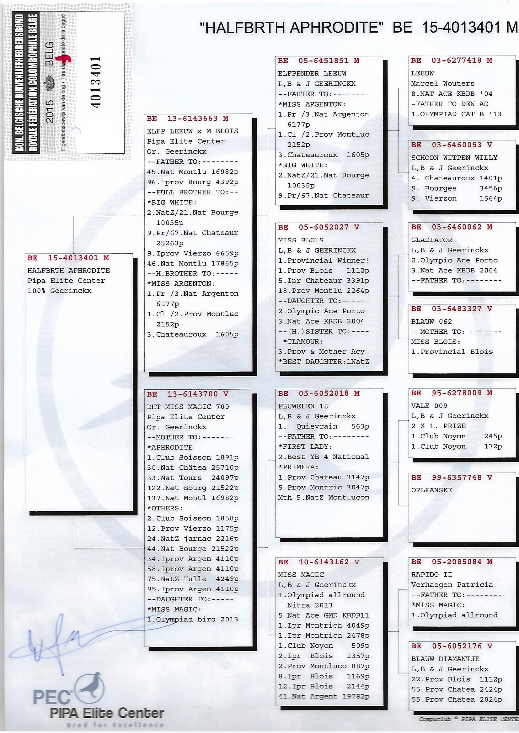 TR22-59-0870 ERKEK /  PIPA ELITE CENTER % 100