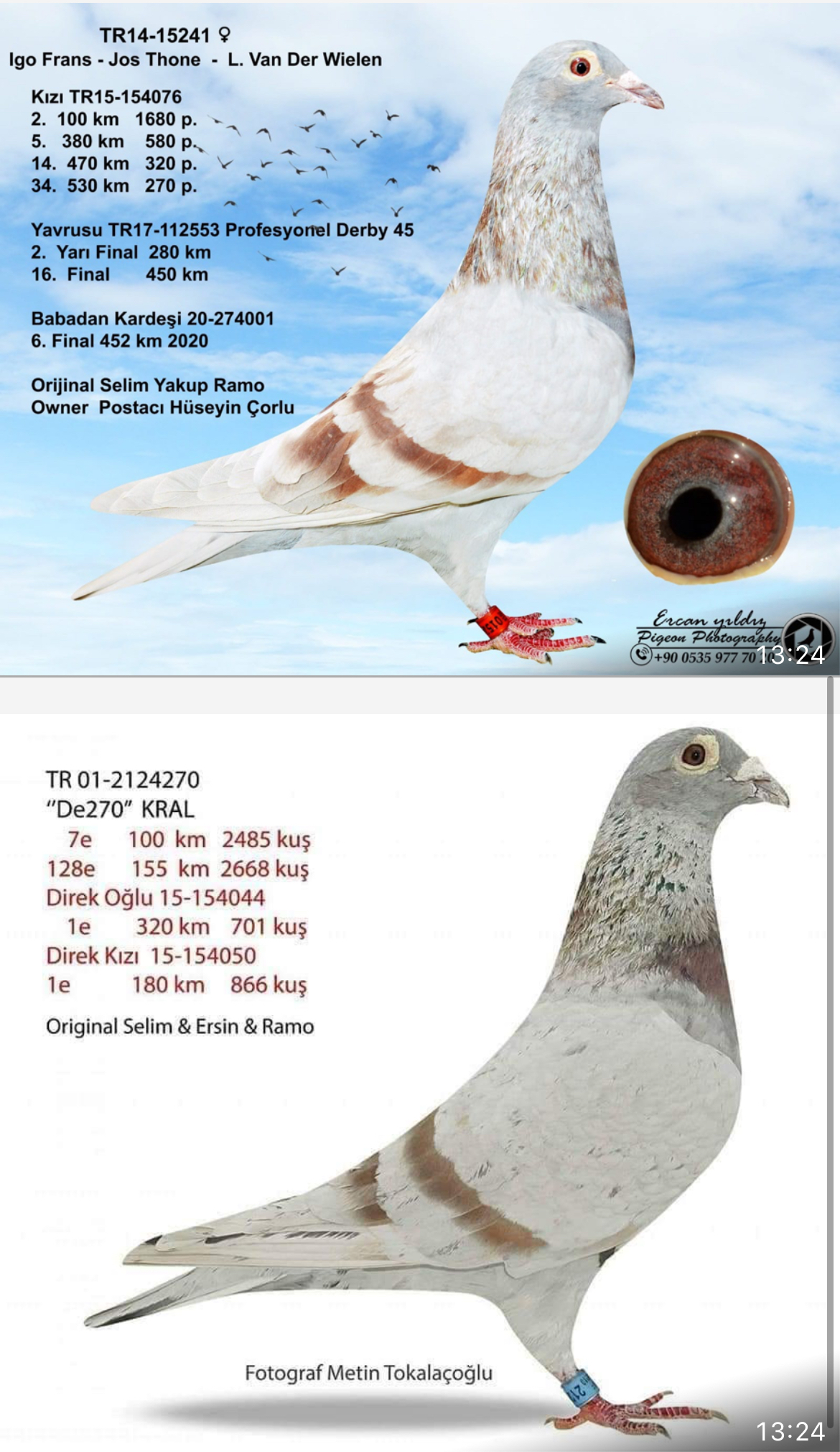 TR22-59-1048  ERKEK / TAM KARDEŞİ JAMES BOND 007   3 KUPALI