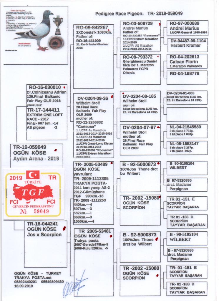 TR22-59-1106  BOMBİLİ YUMURTA / 73. FİNAL 