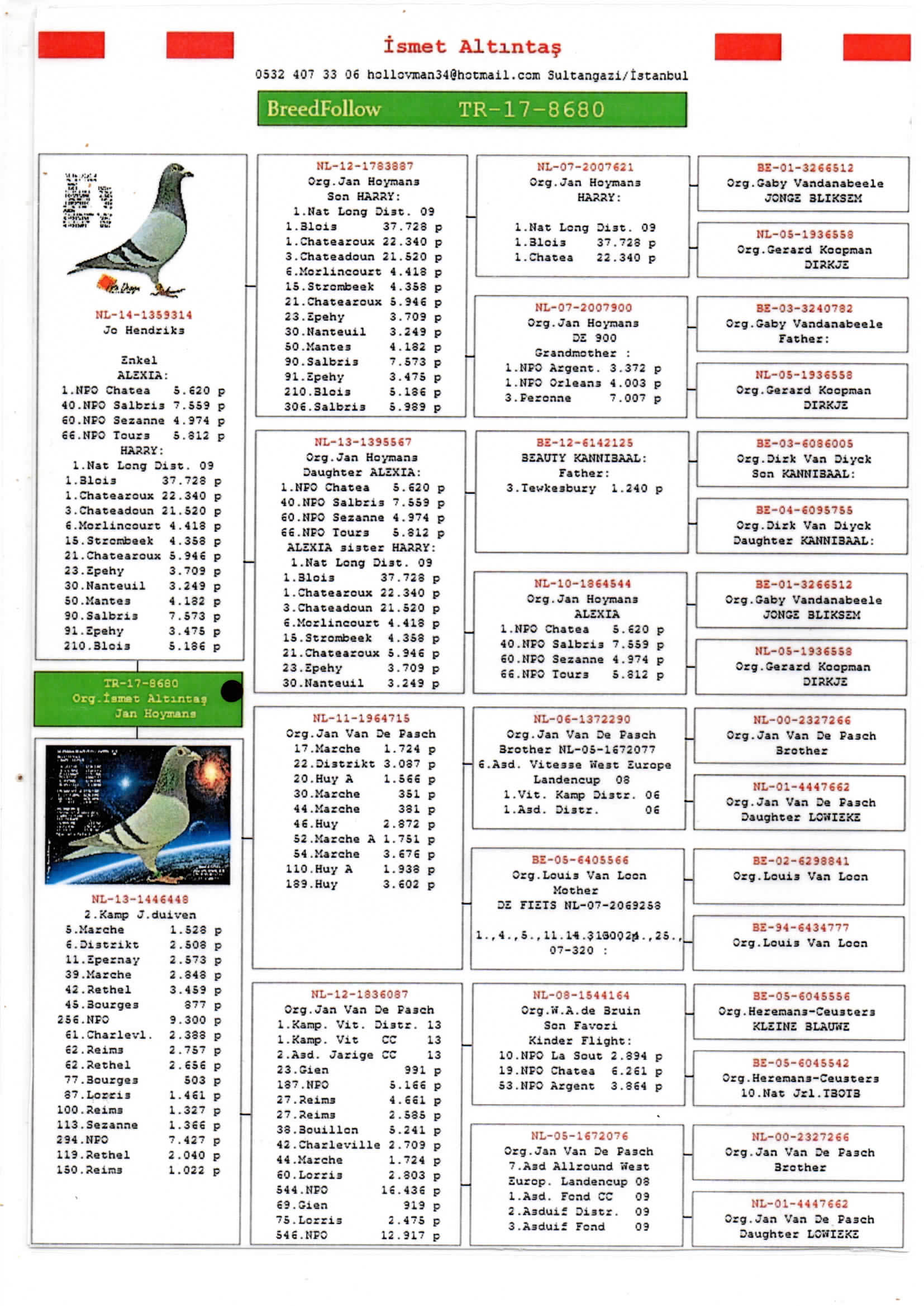 TR22-59-1332 BOMBİLİ YUMURTA / 228. FİNAL