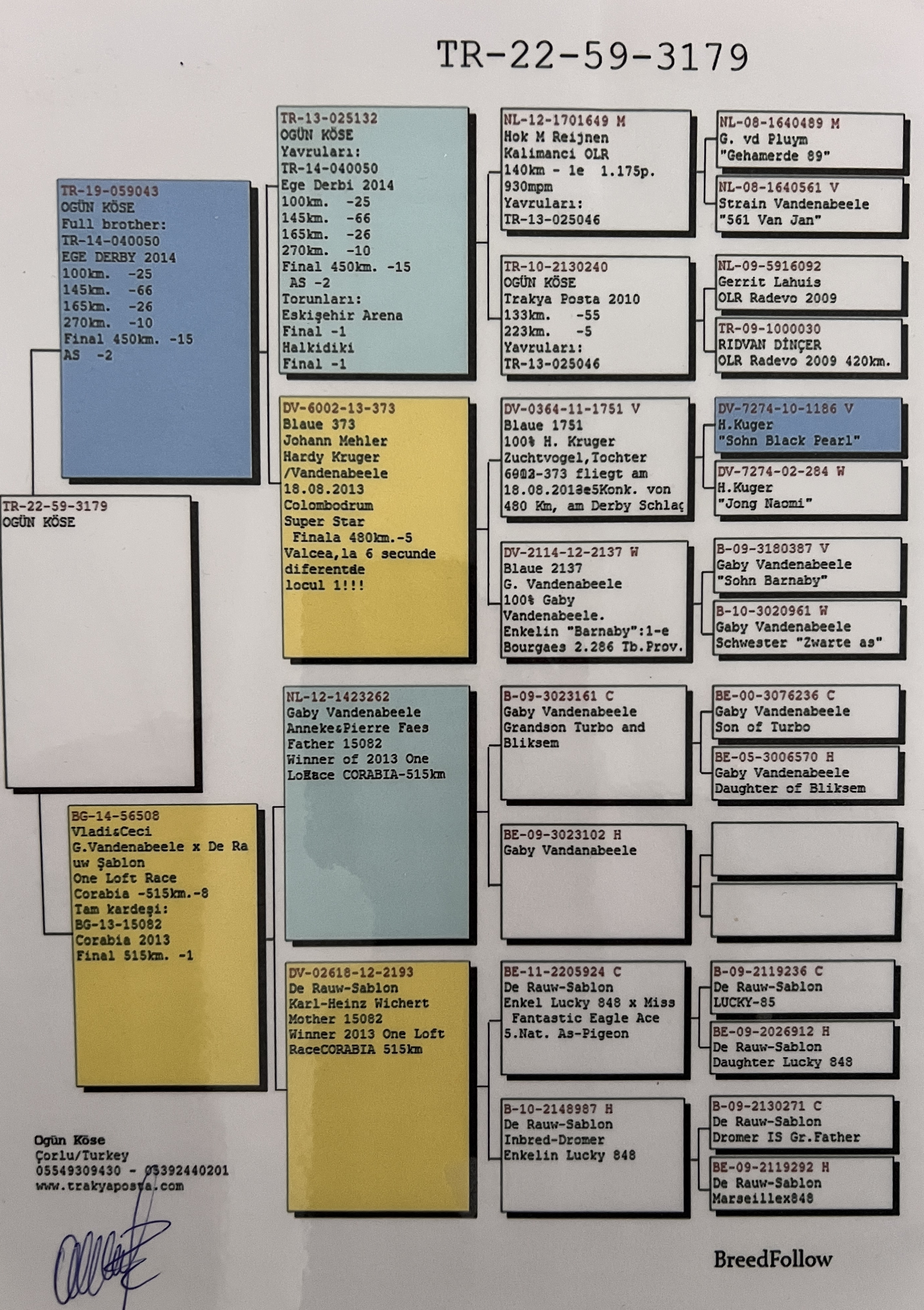 TR22-59-3179 DİŞİ/ TAM KARDEŞİNİN YAVRUSU 2 FİNAL 2 AS CLAAS