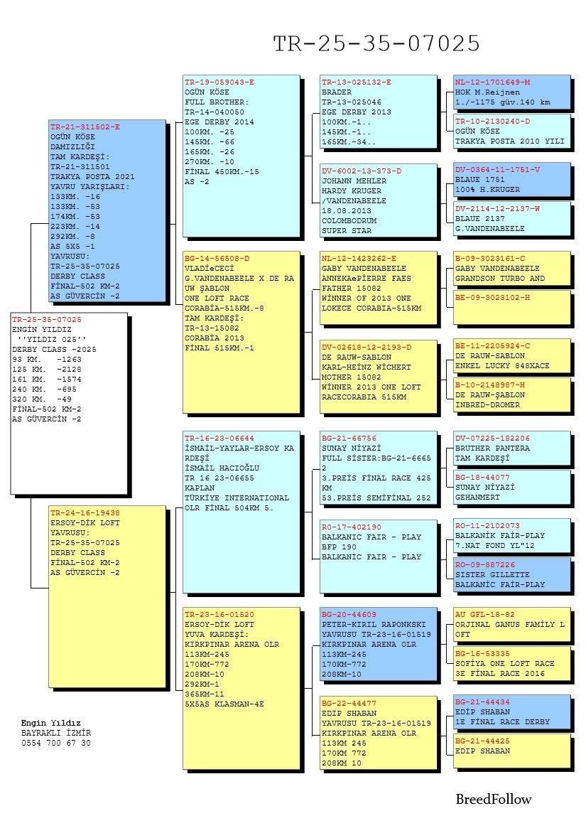 TR22-59-3179 DİŞİ/ TAM KARDEŞİNİN YAVRUSU 2 FİNAL 2 AS CLAAS
