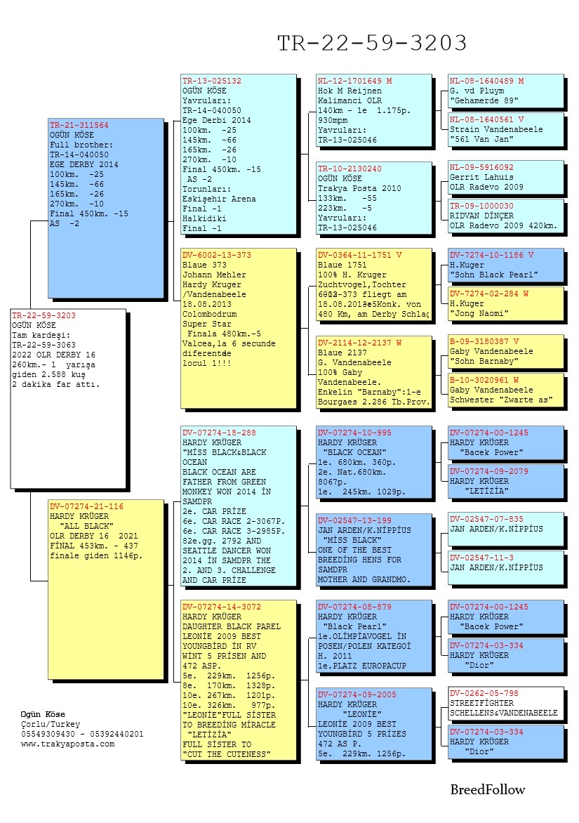 TR22-59-3203 DİŞİ / TAM KARDEŞİ 29 SEMİ FİNAL DERBY16