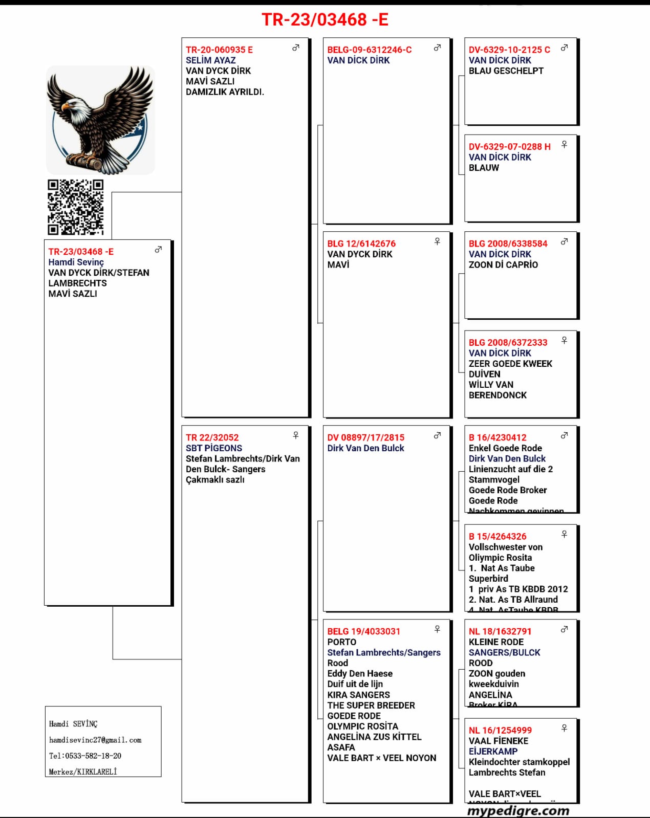 TR23-03468 ERKEK / VAN DYCK - DIRK VAN DE BLUCK