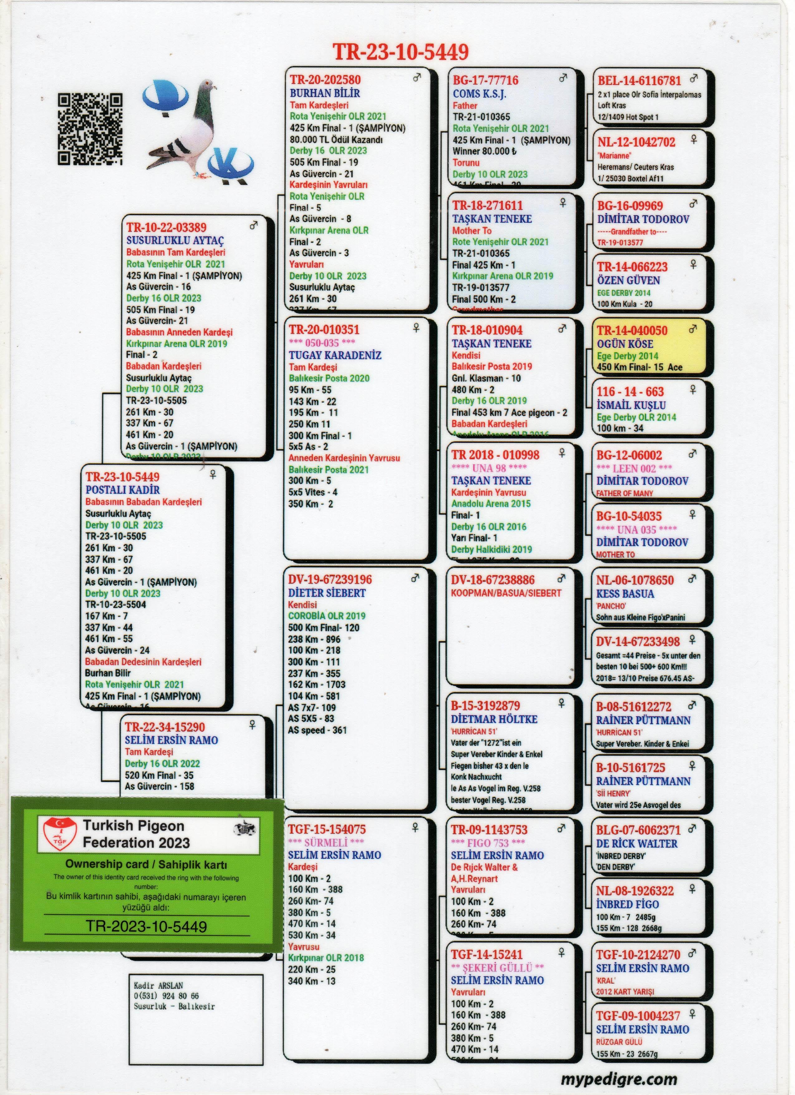 TR23-10-5449 DİŞİ / DEDESİNİN KARDEŞİ 1 FİNAL ROTA YENİŞEHİR ARENA 