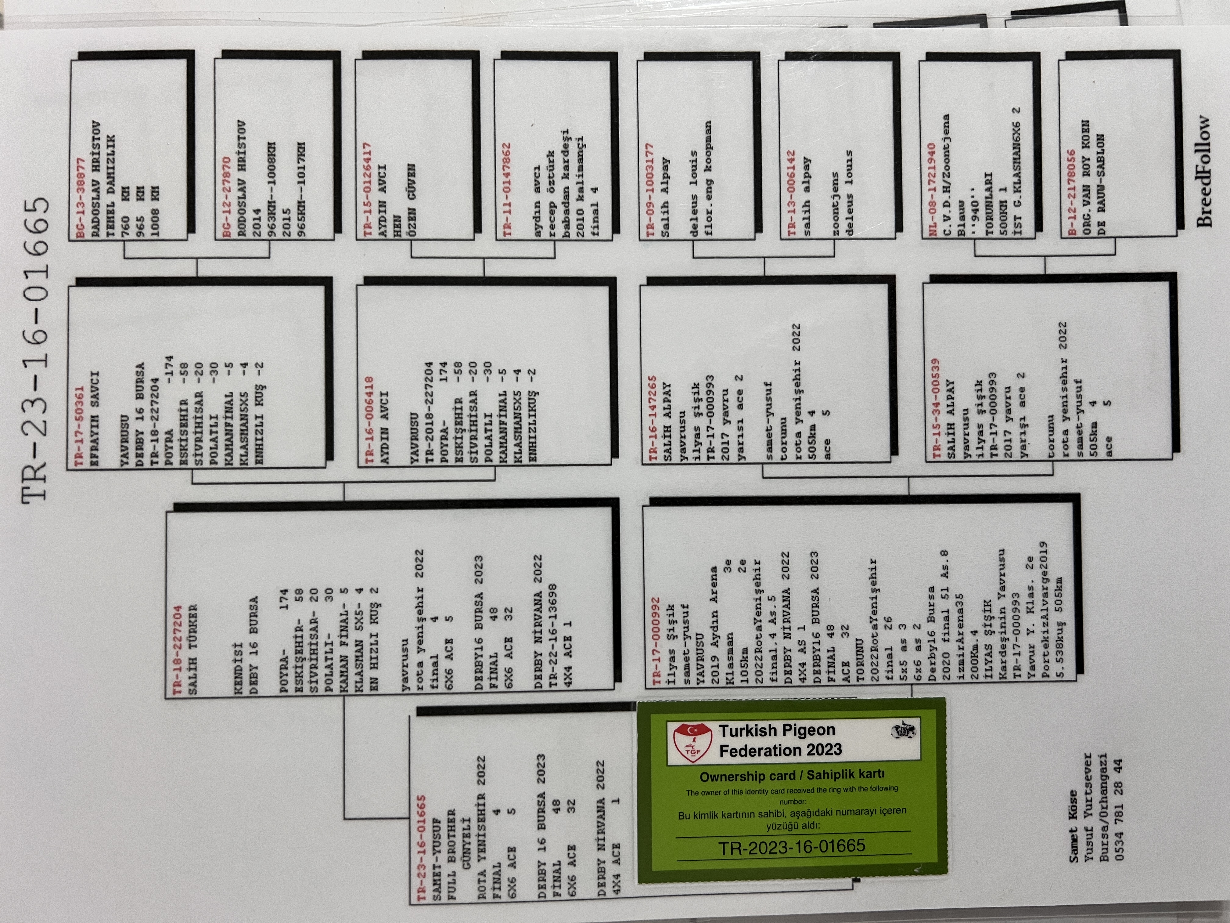 TR23-16-01665 ERKEK / KARDEŞİ GÜNYELİ