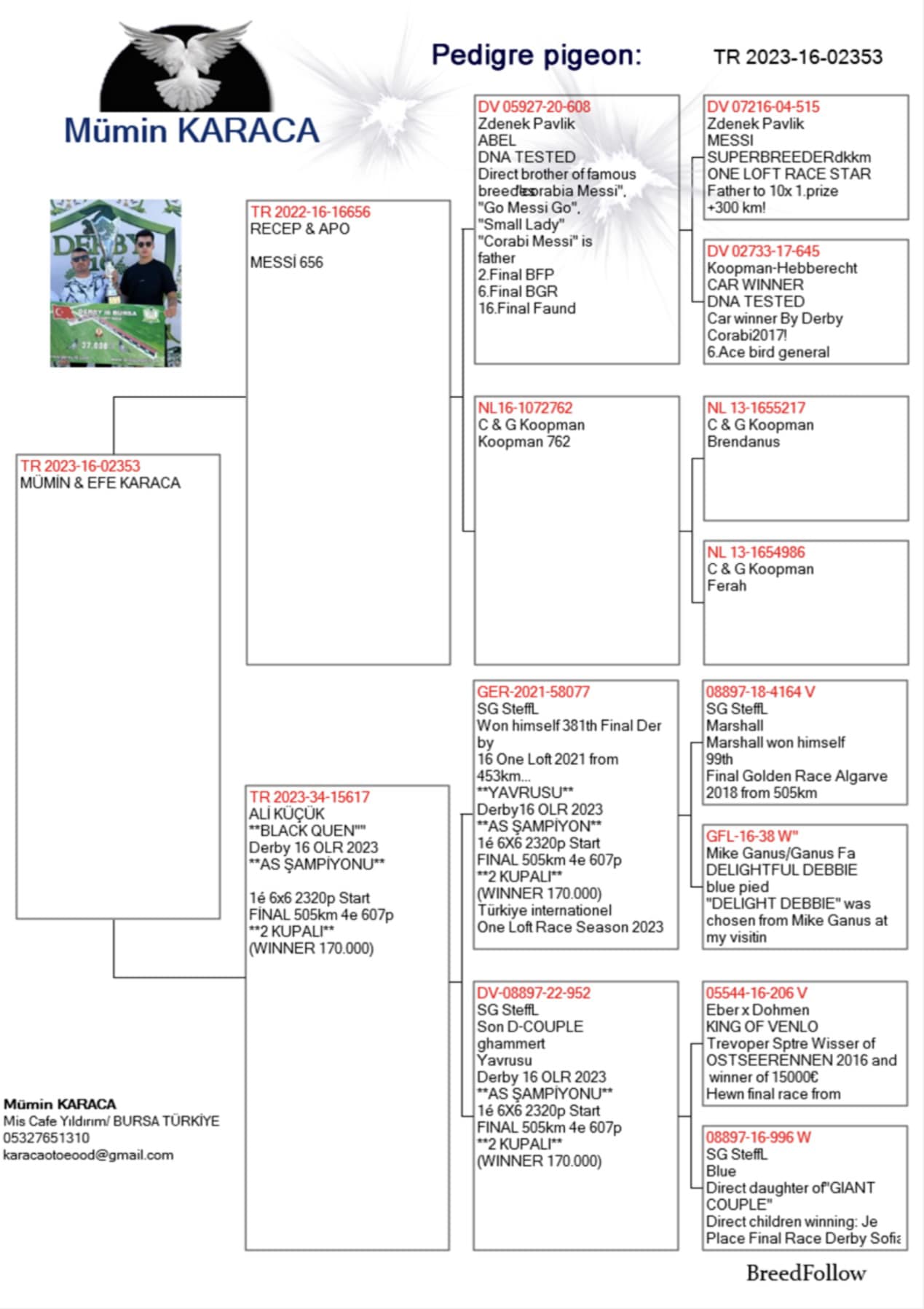 TR23-16-02353 DİŞİ / BABASI MESSI TORUNU ANNESİ 1 ACE PIGEON