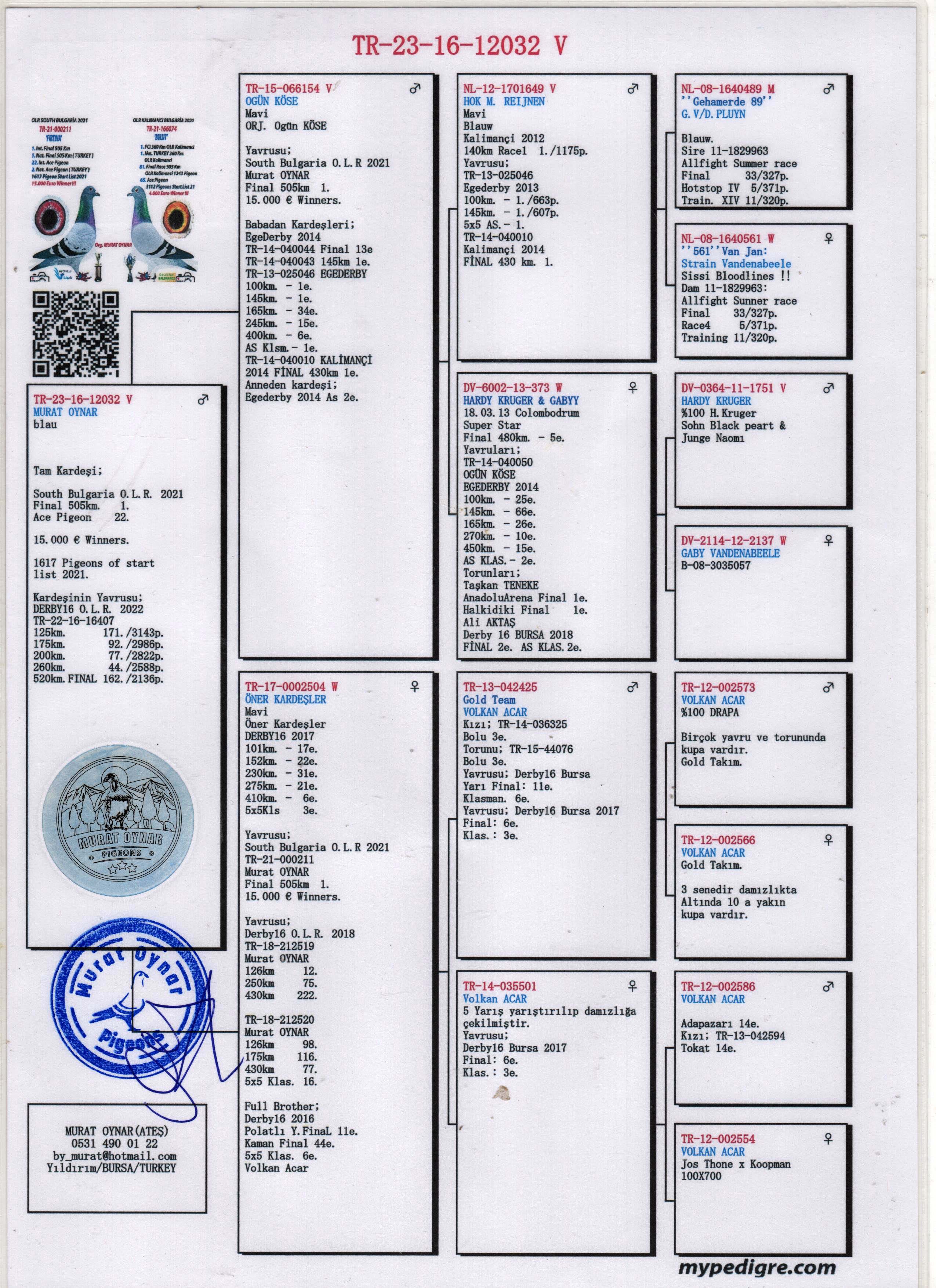 TR23-16-12032 ERKEK / KARDEŞİ 1 FİNAL 505 KM OLR SOUTH BULGARIA