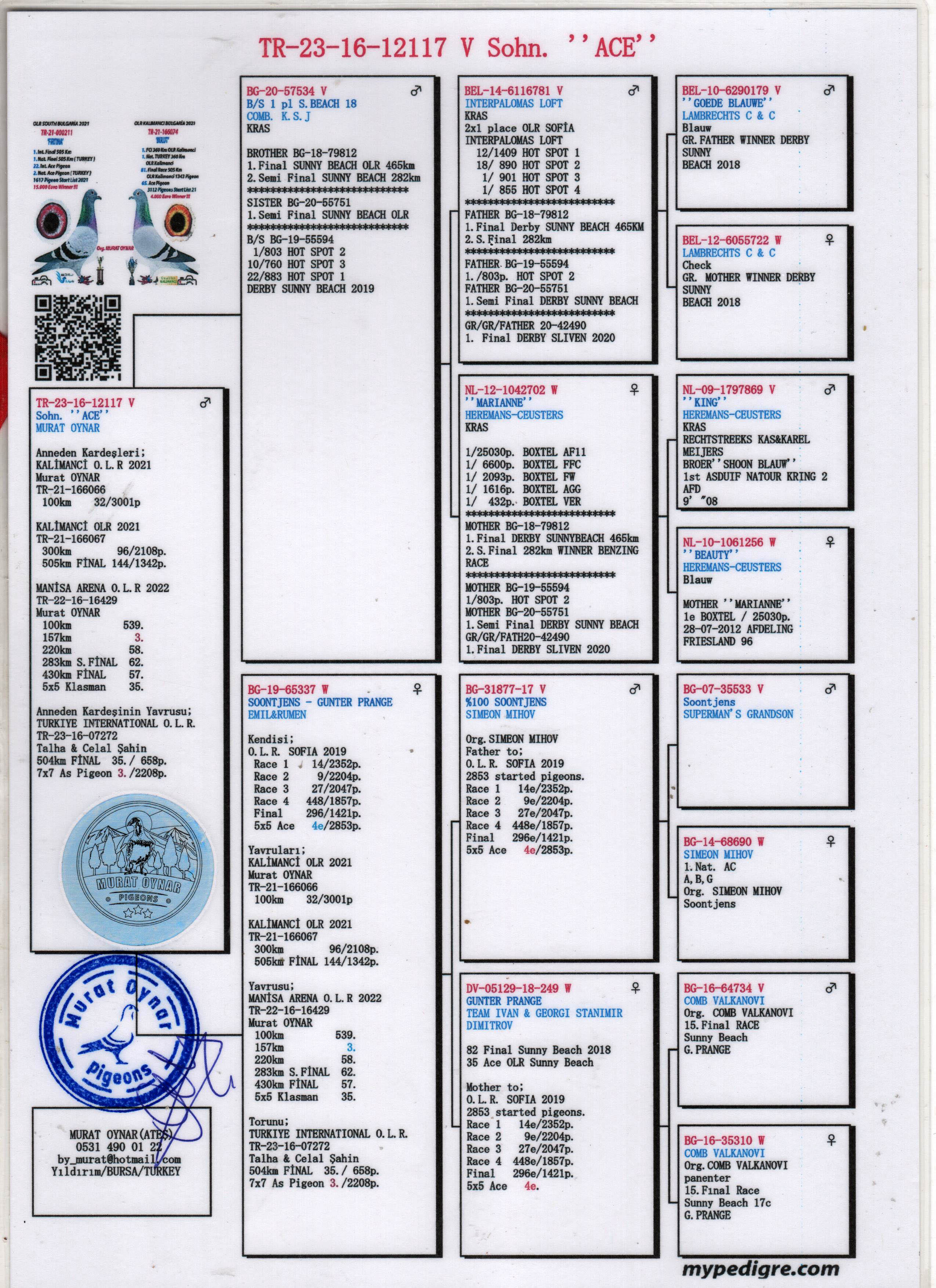 TR23-16-12117 ERKEK / BABASININ KARDEŞİ 1 FİNAL & 2 SEMİ FİNAL