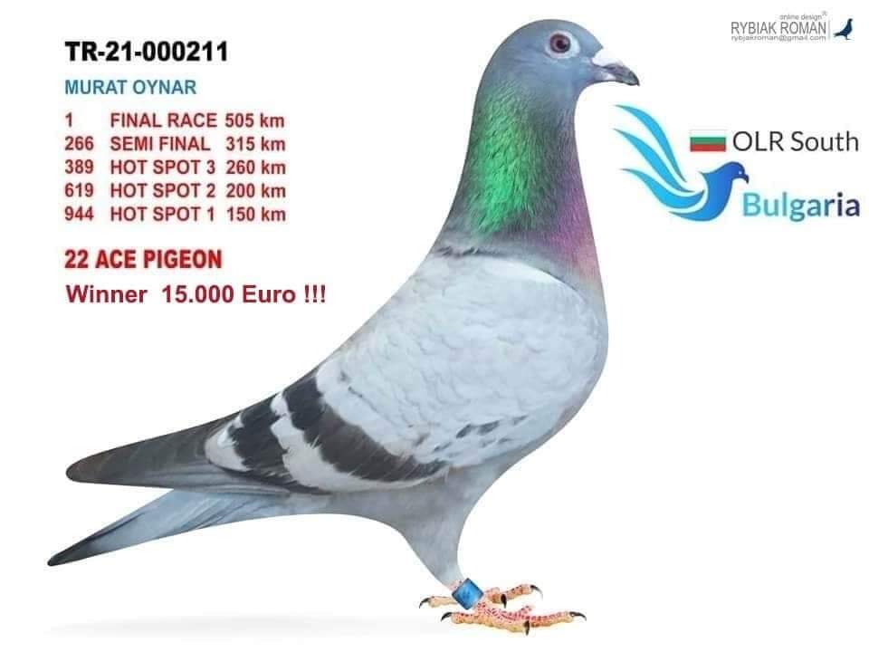 TR23-16-12172 DİŞİ / MURAT OYNAR BABASININ KARDEŞİ 1. FİNAL SOULT BULGARİA
