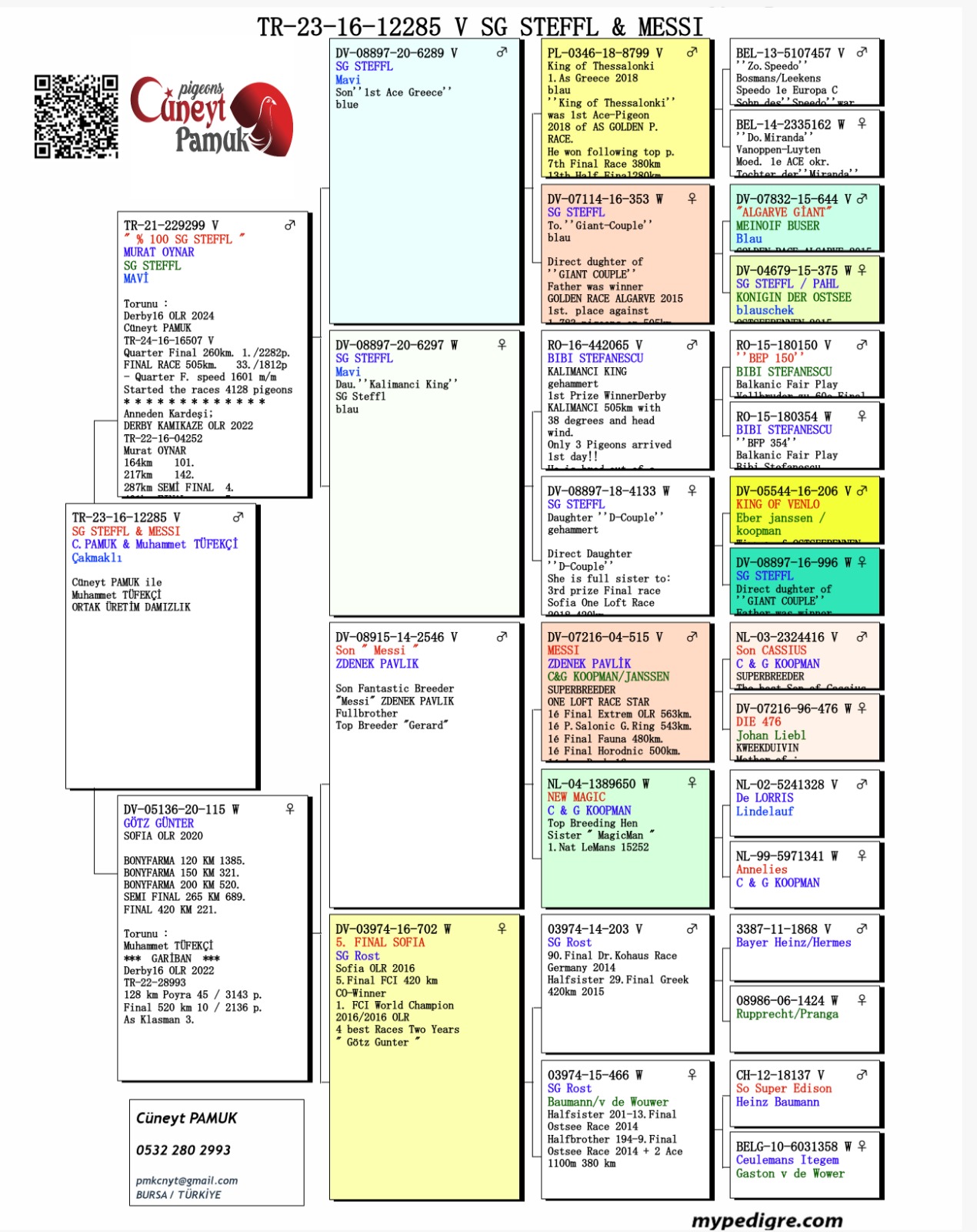 TR23-16-12285 ERKEK / BABASI SG STEFFL % 100